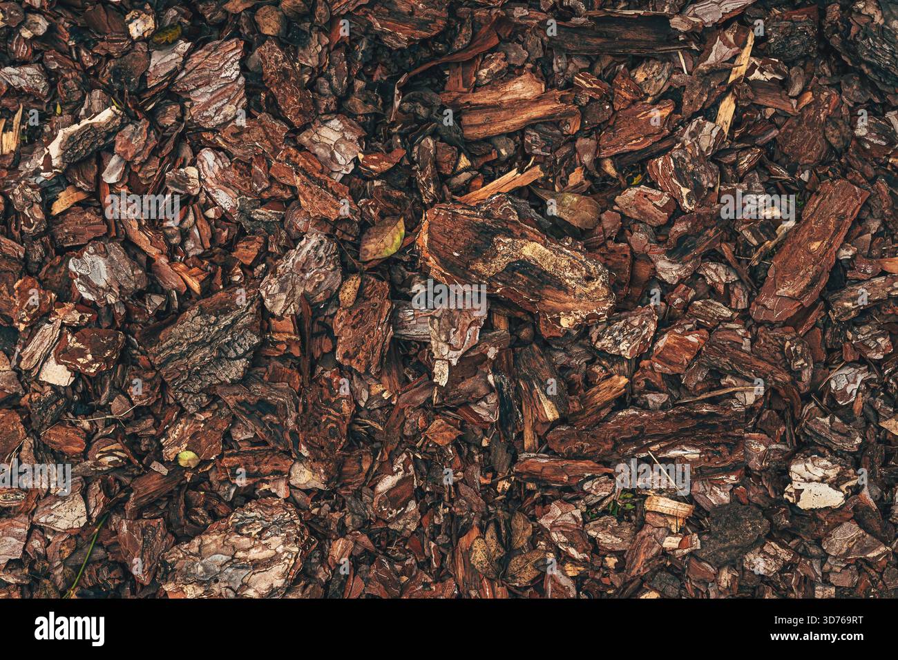 Nahaufnahme von natürlichem braunem Holzmulch mit Rindensplittern und organischen Ablagerungen, die raue Oberflächen und Erdtöne für Hintergründe und Nature de zeigen Stockfoto
