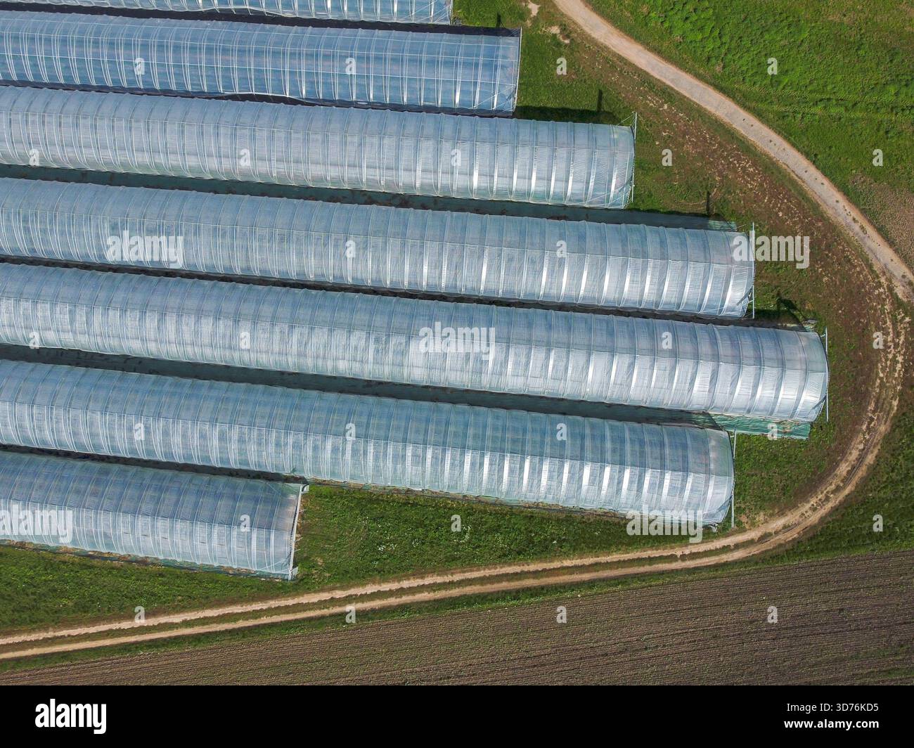 Von oben aus bietet sich ein Blick auf mehrere lange Gewächshäuser (Poly-Tunnel), die von braunem Feld und grünem Gras umgeben sind. Die Szene betont die Landwirtschaft Stockfoto