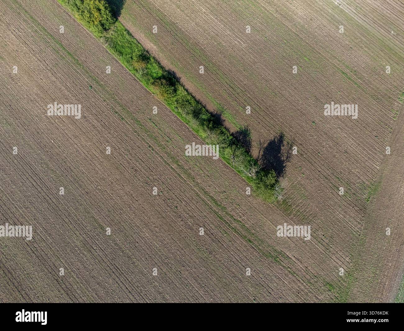 Eine präzise Ansicht von oben nach unten auf ein gepflügtes braunes Feld, das durch einen diagonalen Streifen aus grünem Gras und kleinen Bäumen geteilt wird. Die Komposition betont Geometrien Stockfoto