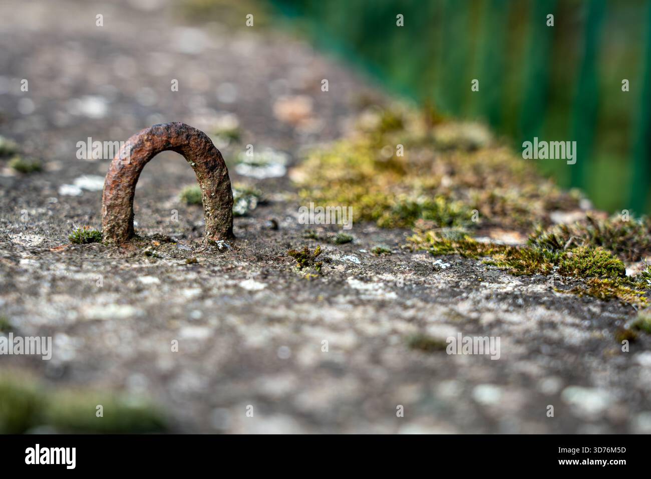 Nahaufnahme einer rustikalen, rostigen Metallschlaufe, eingebettet in grauen Beton oder Stein, mit Moosflecken und einem hell verschwommenen grünen Hintergrund auf t Stockfoto