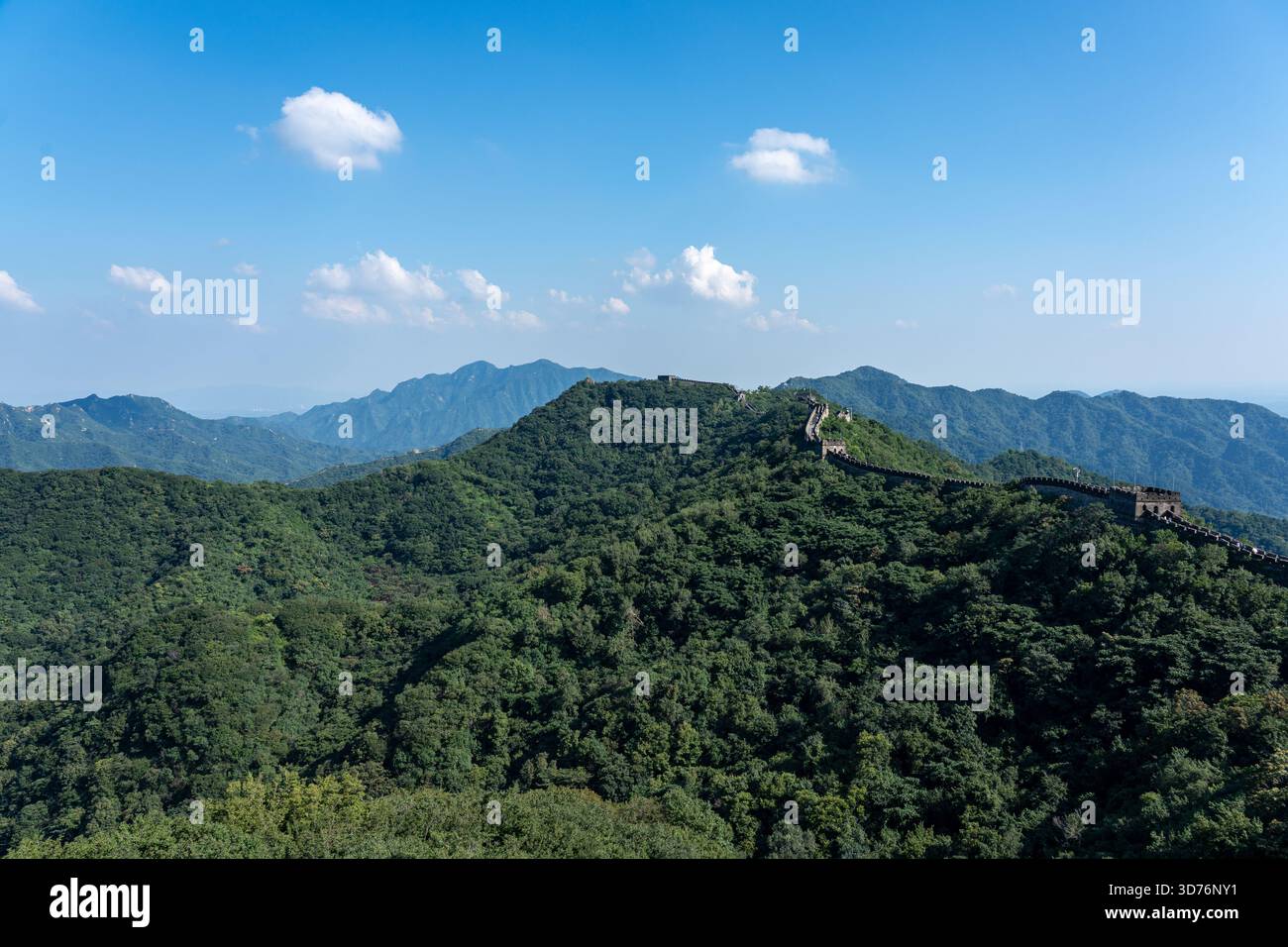 Ein breiter ausblick zeigt die Chinesische Mauer, die der Bergkamm einer üppigen, bewaldeten Bergkette folgt. Die beeindruckende Struktur steht im Kontrast zum va Stockfoto