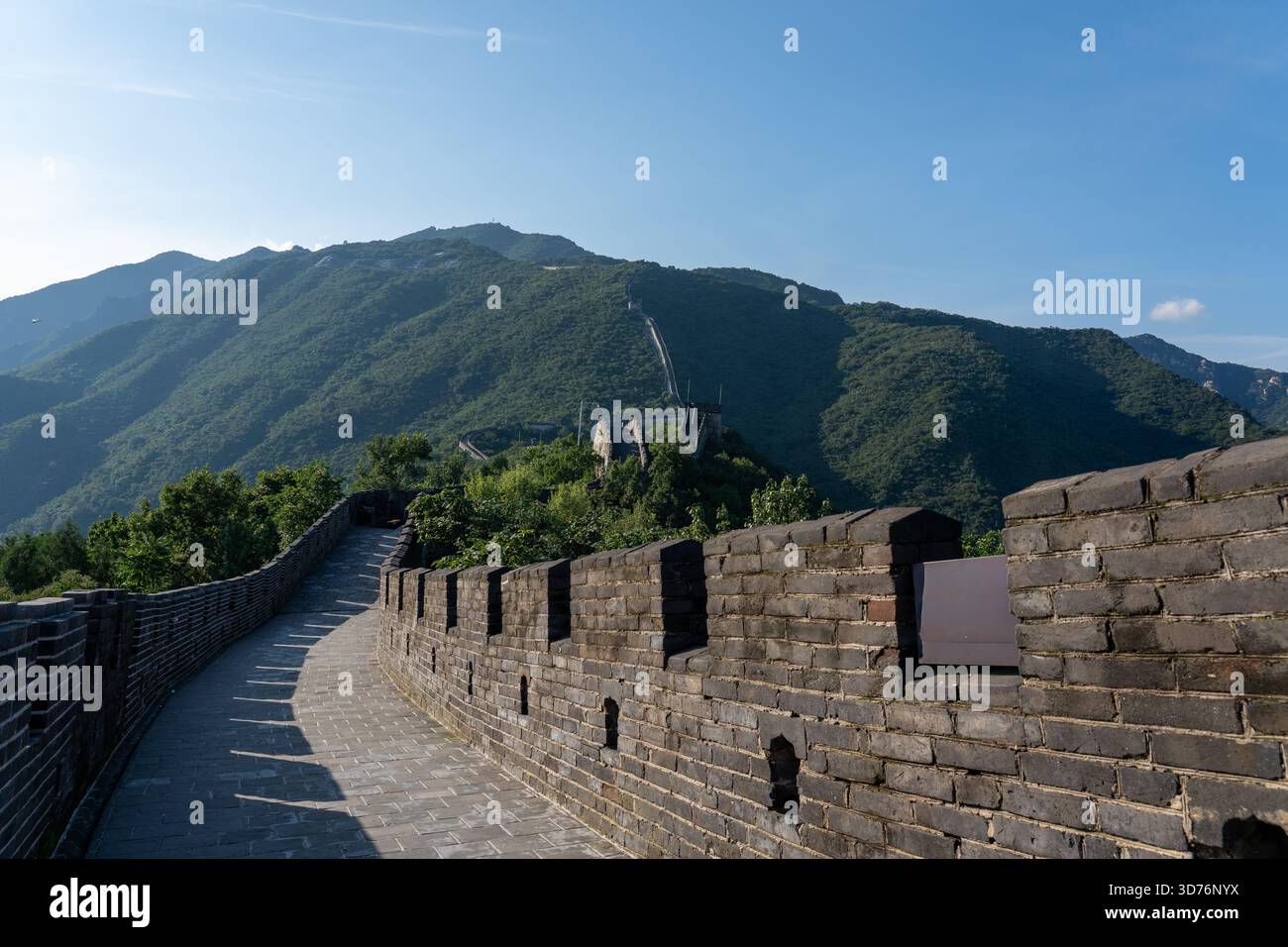 Der Weg der Großen Mauer biegt sich nach rechts, mit seiner Attika, die einen langen Schatten wirft, und führt auf einen bewaldeten Berg. Die Szene fängt die historische Struktur und ein Stockfoto
