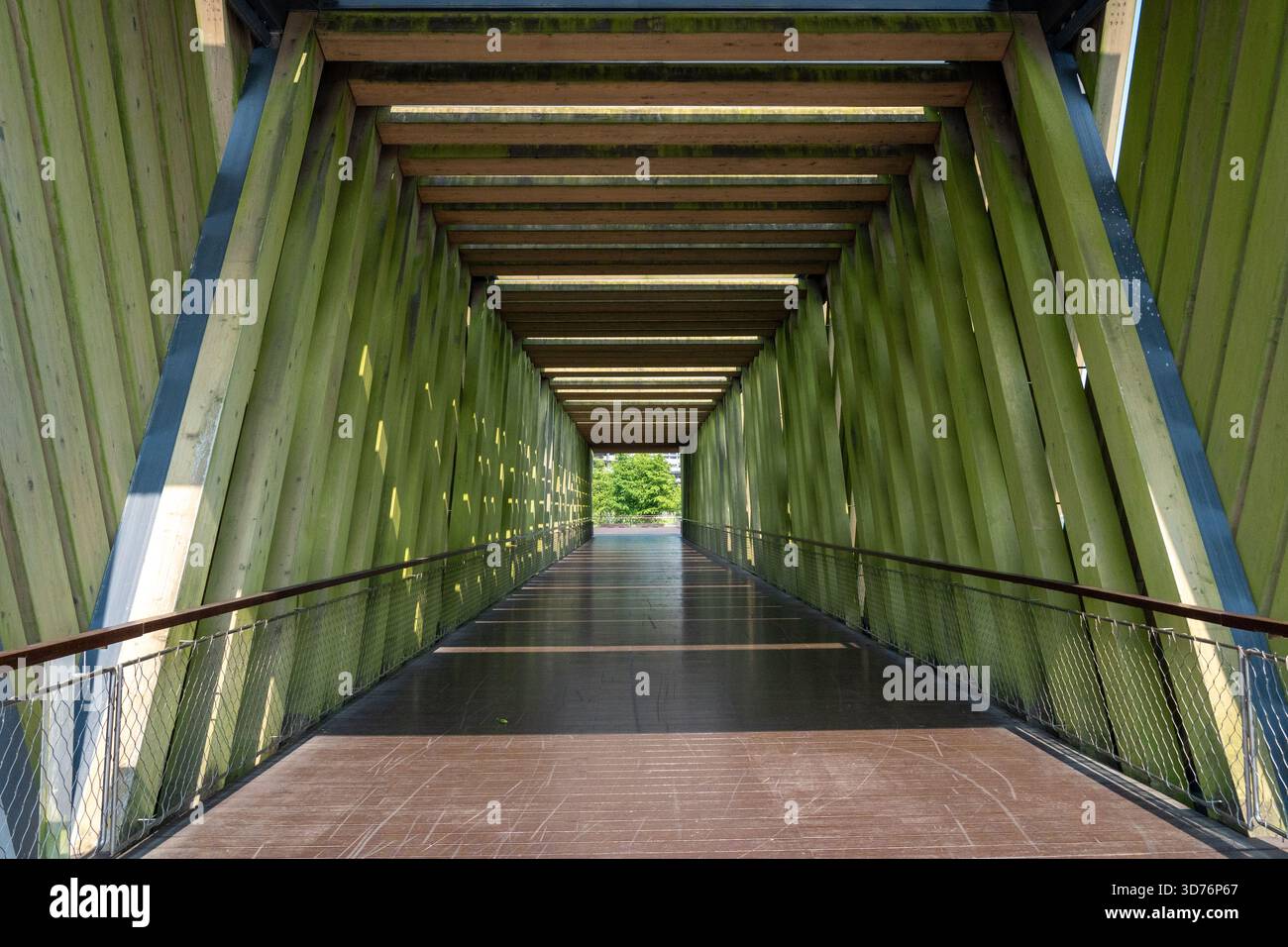 Ein langer Holzsteg führt durch eine überdachte, grün getönte Tunnelstruktur. Die starke lineare Perspektive lenkt den Blick auf den weit entfernten hellen Ex Stockfoto