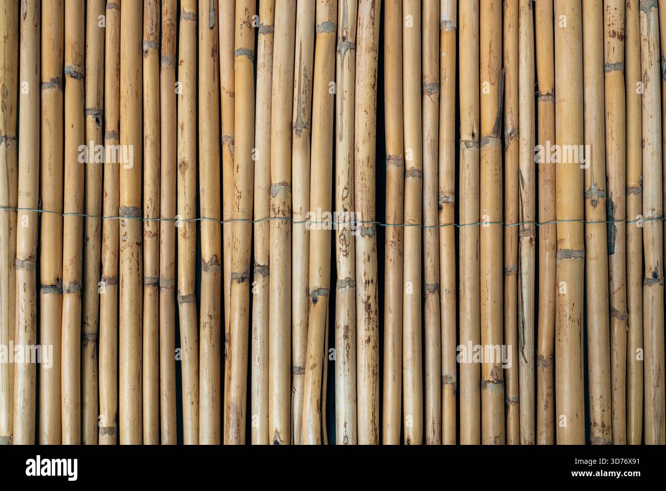 Natürlicher Bambus Wandtextur Hintergrund. Hochwertige Fotos Stockfoto