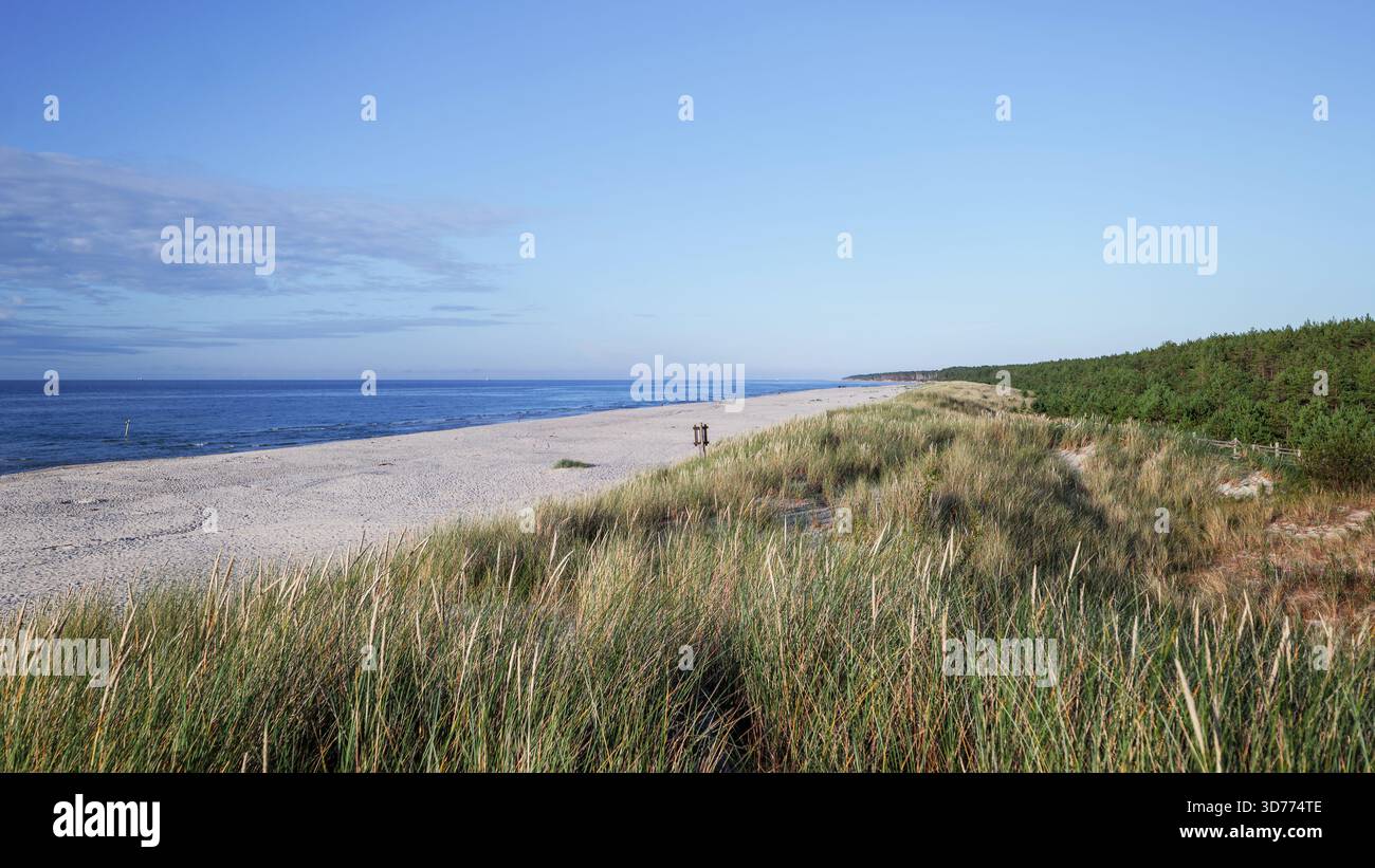 Ein wunderbarer Strand an der Ostsee in Slajszewo. Ein wunderbarer Blick auf den breiten Strand, die grasbewachsenen Dünen und den Kiefernwald. Polen Stockfoto
