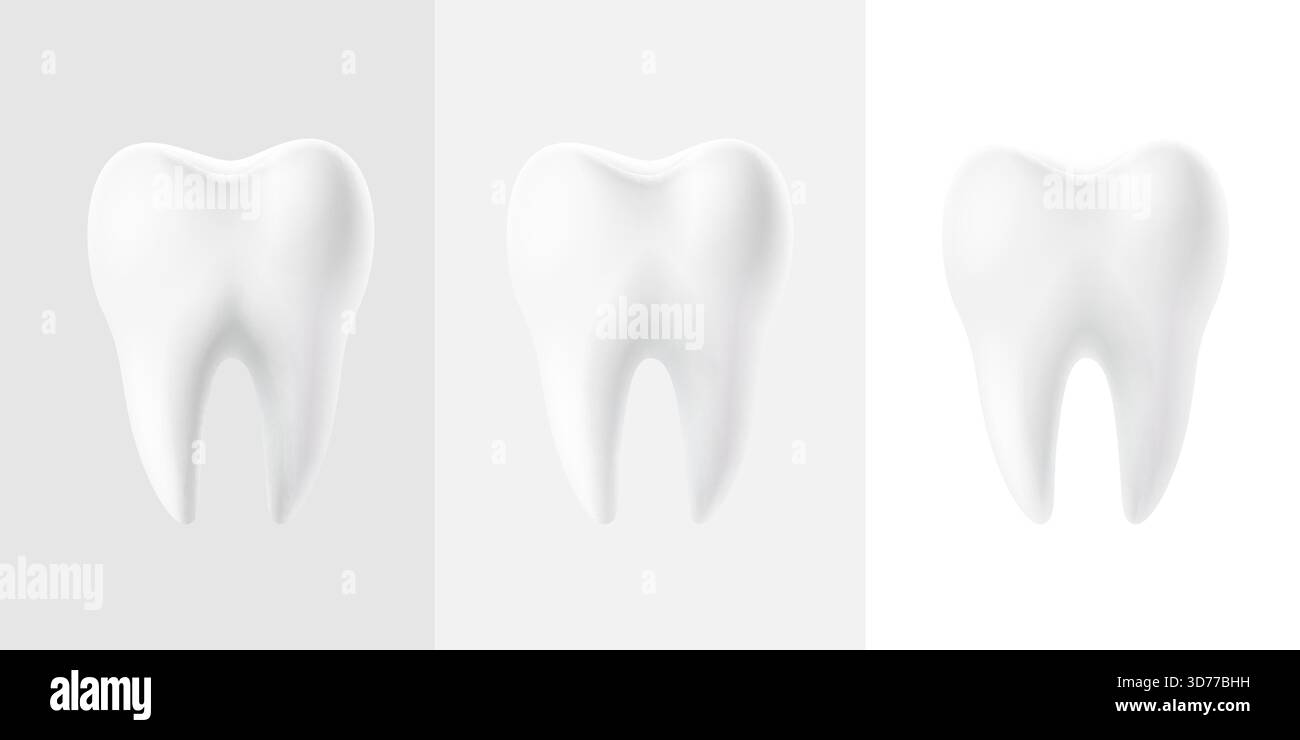 Gesundes weißes menschliches Backenzahnset. Realistische Zahnanatomie für Mundpflegekonzepte. Vektorabbildung Stock Vektor