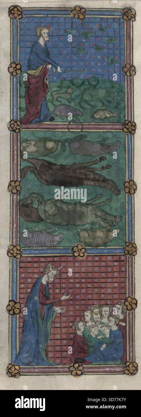 Drei Miniaturen, die die Plagen Ägyptens darstellen, begleitet von Text, Initialen und Linefüller. Folio 41v., ca. 1390 Stockfoto