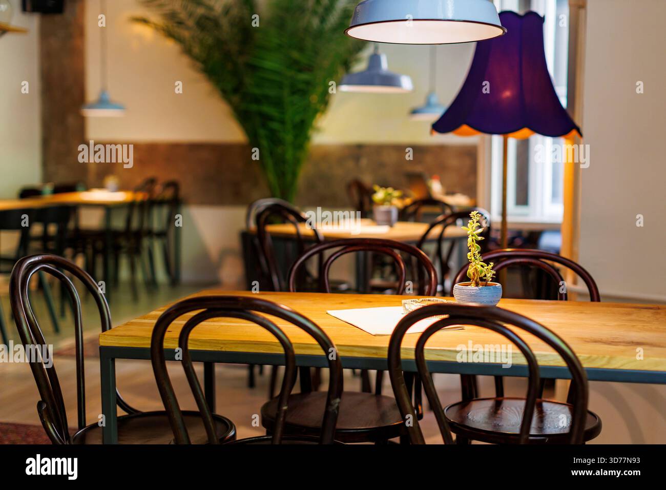 Gemütliches Restaurant mit Holztischen und Pflanzen in ruhiger Umgebung Stockfoto