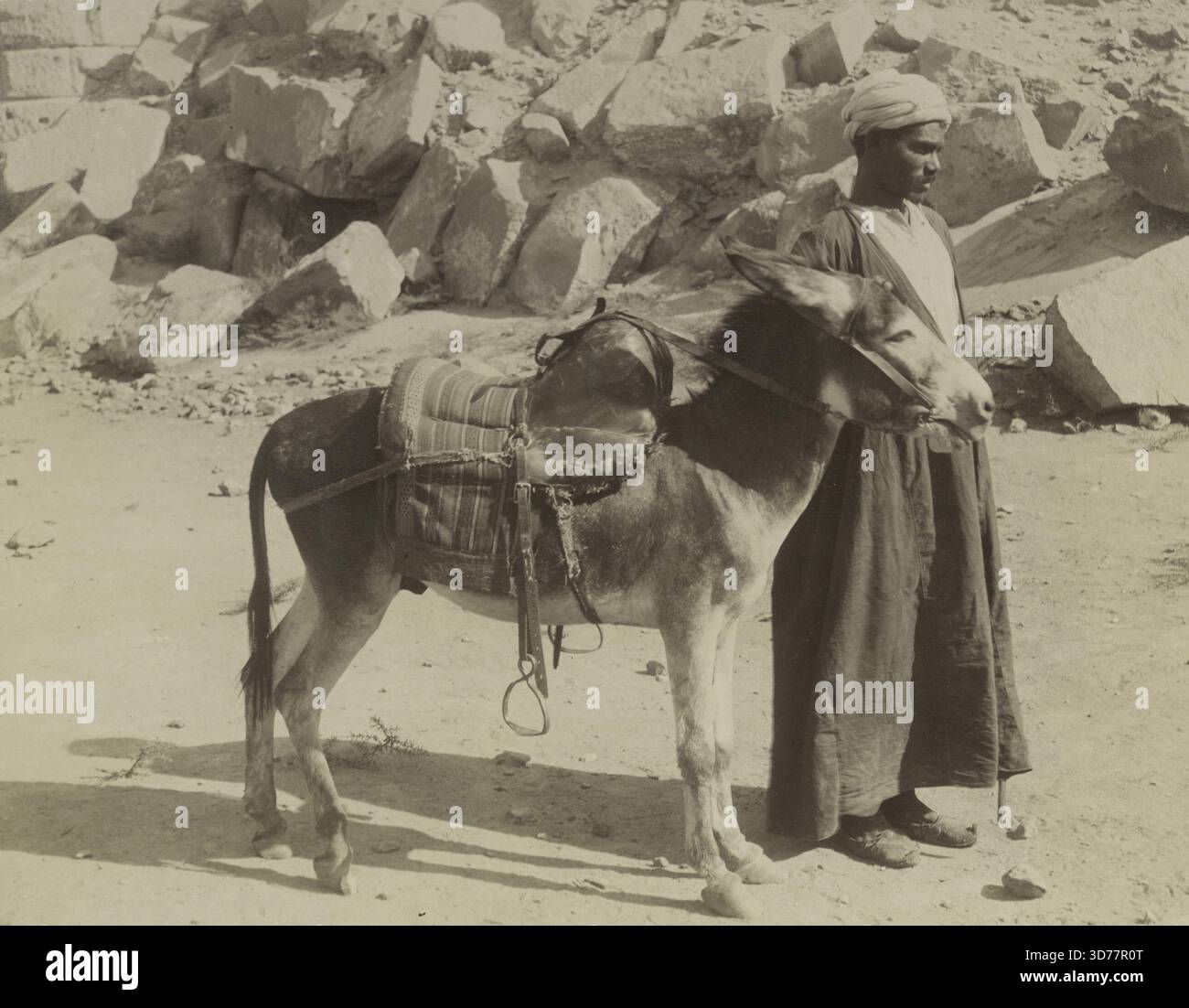 Ein Albumenabdruck aus dem 19. Jahrhundert, der einen Mann mit einem Esel in Ägypten zeigt. Das Bild wurde zwischen 1860 und 1869 erstellt. Das Druckformat beträgt 21 x 26,7 cm (8 1/4 x 10 1/2 Zoll) und wird auf einer Matte mit den Abmessungen 40,6 x 50,8 cm (16 x 20 Zoll) montiert Stockfoto