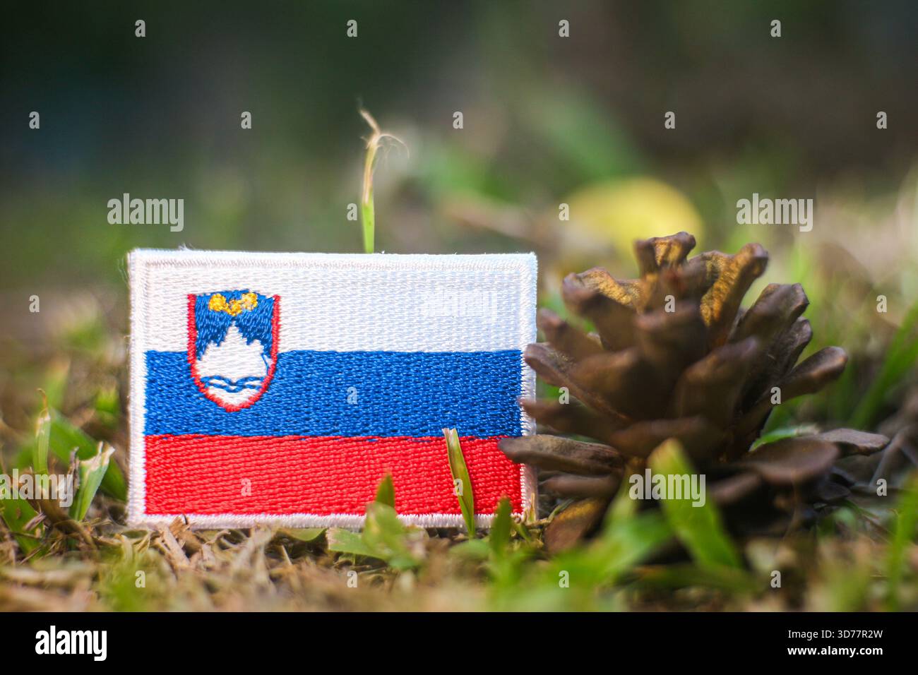 Slowenische Flagge neben einem Kiefernzapfen auf Waldgras, die Themen der Wiederaufforstung, der ökologischen Erneuerung und der starken natürlichen Identität Sloweniens ausdrückt. Stockfoto