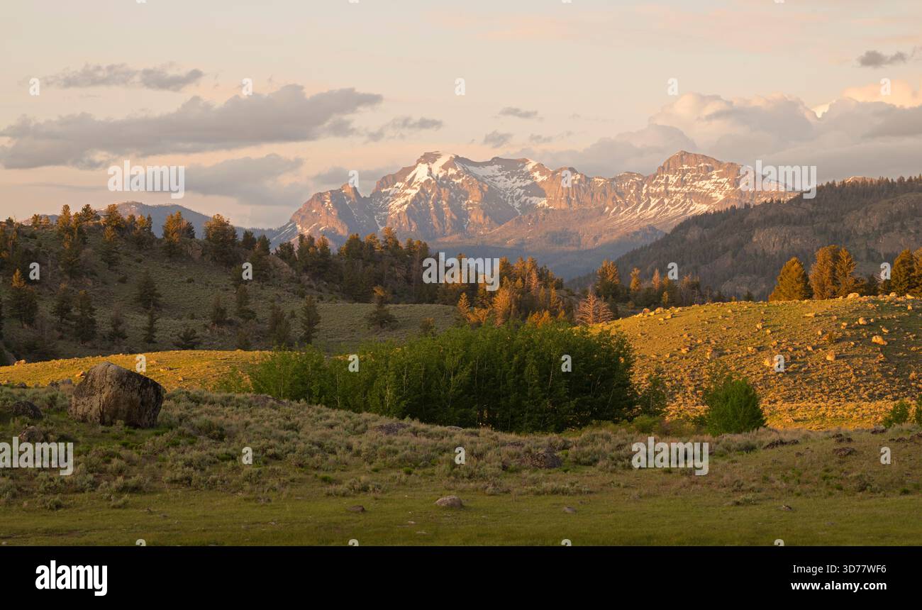 Frühling im Yellowstone-Nationalpark, Wyoming. Sonnenuntergang über Lamar Valley. Stockfoto