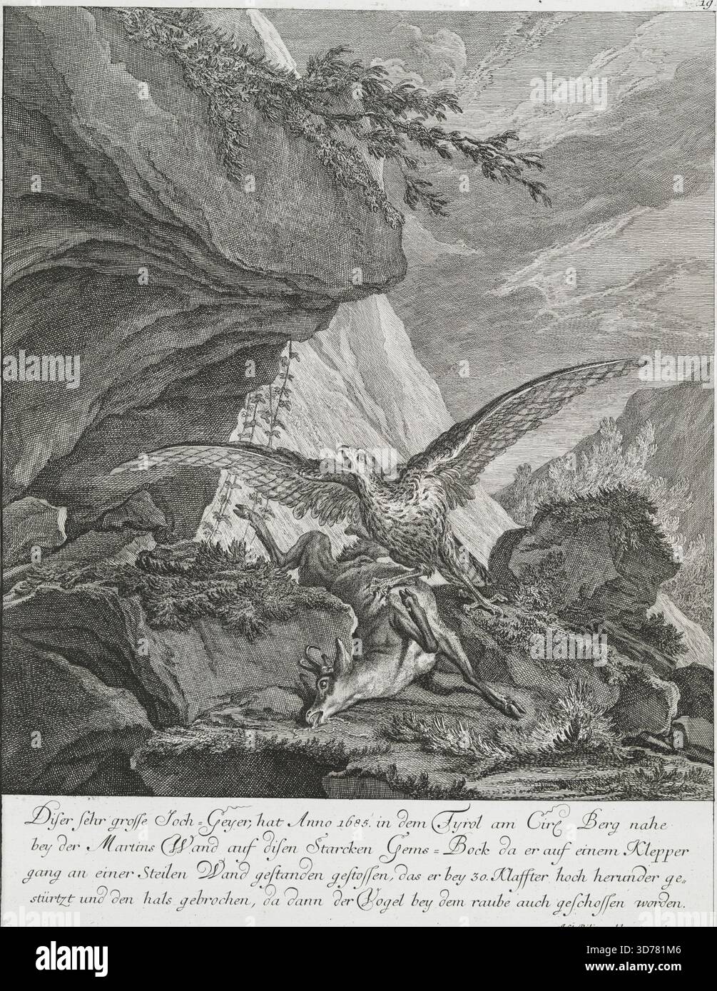 Ein detaillierter Gravur, der einen großen Goldadler (Joch-Geyer) zeigt, der im Jahr 1685 eine starke Gämse (Gems-Bock) auf einer steilen Klippe bei Martins Wand in Tirol angreift. Der Adler hat die Gämse aus einer Höhe von 30 Klauffter niedergeschlagen, was zum Tod führte. Der Vogel wurde auch während der Jagd erschossen. Das von Johann Elias Ridinger geschaffene Kunstwerk wurde 1740 in Augsburg ausgestellt und 1741 fertiggestellt. Zu den Themen gehören Tiere, Jagd und Wildvögel Stockfoto