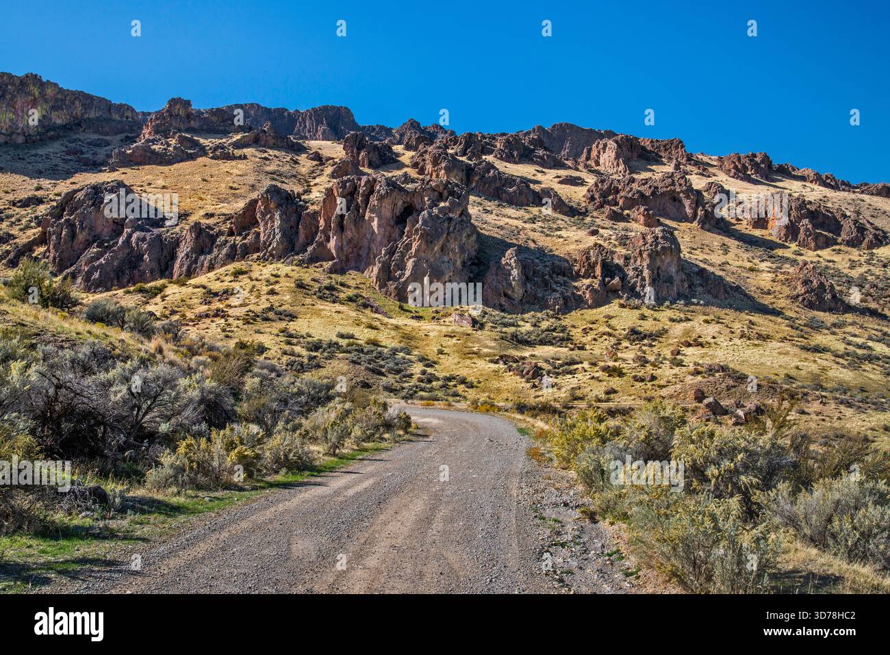 McIntyre Ridge, Succor Creek Road, Succor Creek State Natural Area, High Desert Region, Oregon, USA Stockfoto