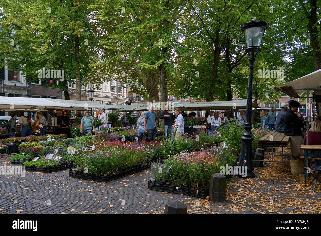 Utrecht, Niederlande - 30. August 2025 - Blumenmarkt im Freien auf einem europäischen Stadtplatz mit Menschen und Pflanzen Stockfoto