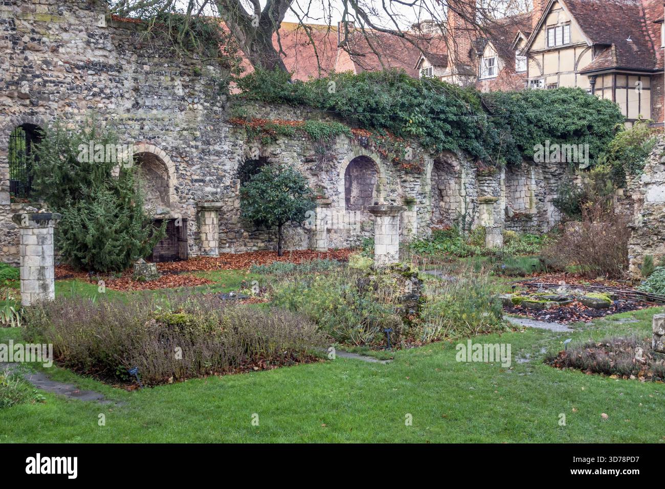 Eine moderne Nachbildung eines Heilkräutergartens aus dem 16. Jahrhundert an der Kathedrale von Canterbury, die 2005 zwischen den Ruinen des alten Klosters (Kent, Großbritannien) entstand. Stockfoto