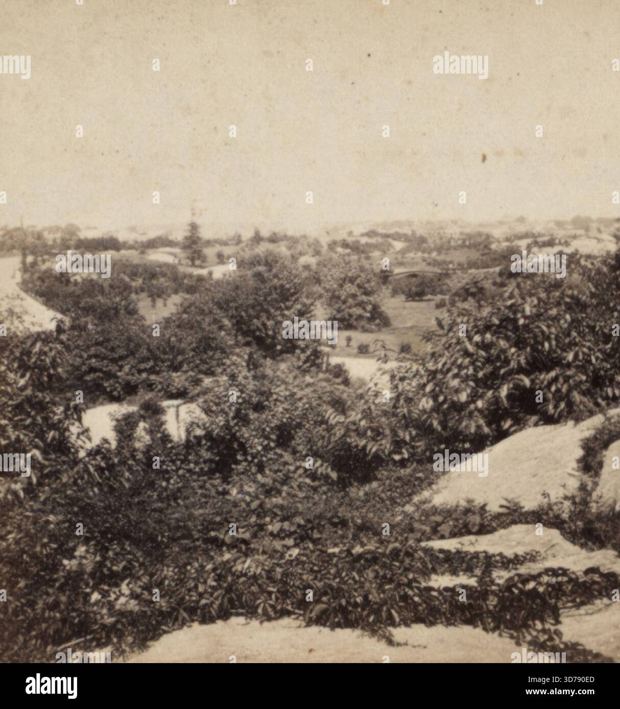 Vom Summer House, in der Nähe des Artists Gate (6th Av. Und 59th St.), mit Blick nach Nordwesten. Gegründet von E. & H.T. Anthony (Firma) zwischen 1850 und 1930, insbesondere zwischen 1863 und 1865. Dieser Albumendruck zeigt einen Blick auf den Central Park in Manhattan, New York Stockfoto