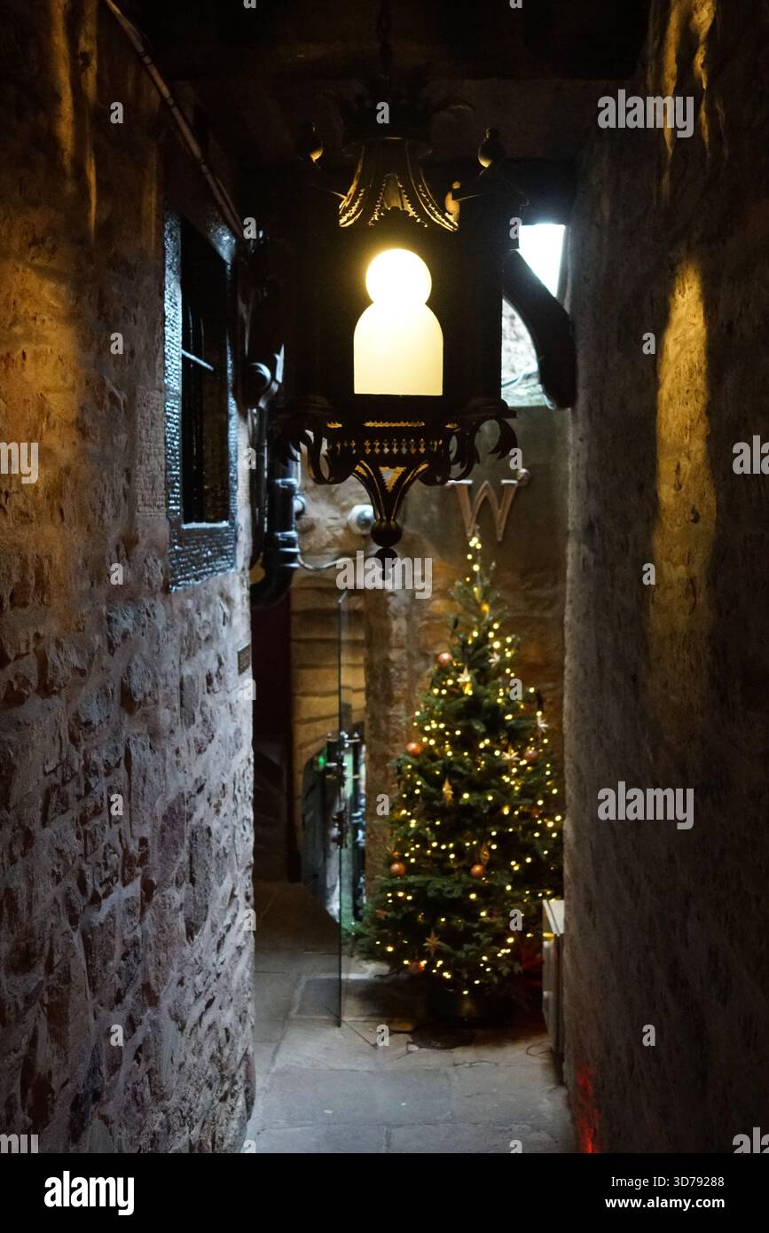 Weihnachtsbaum und warmes Laternen-Licht in einer engen Steingasse in Edinburgh schaffen eine festliche und stimmungsvolle Szene. Edinburgh, Schottland Stockfoto