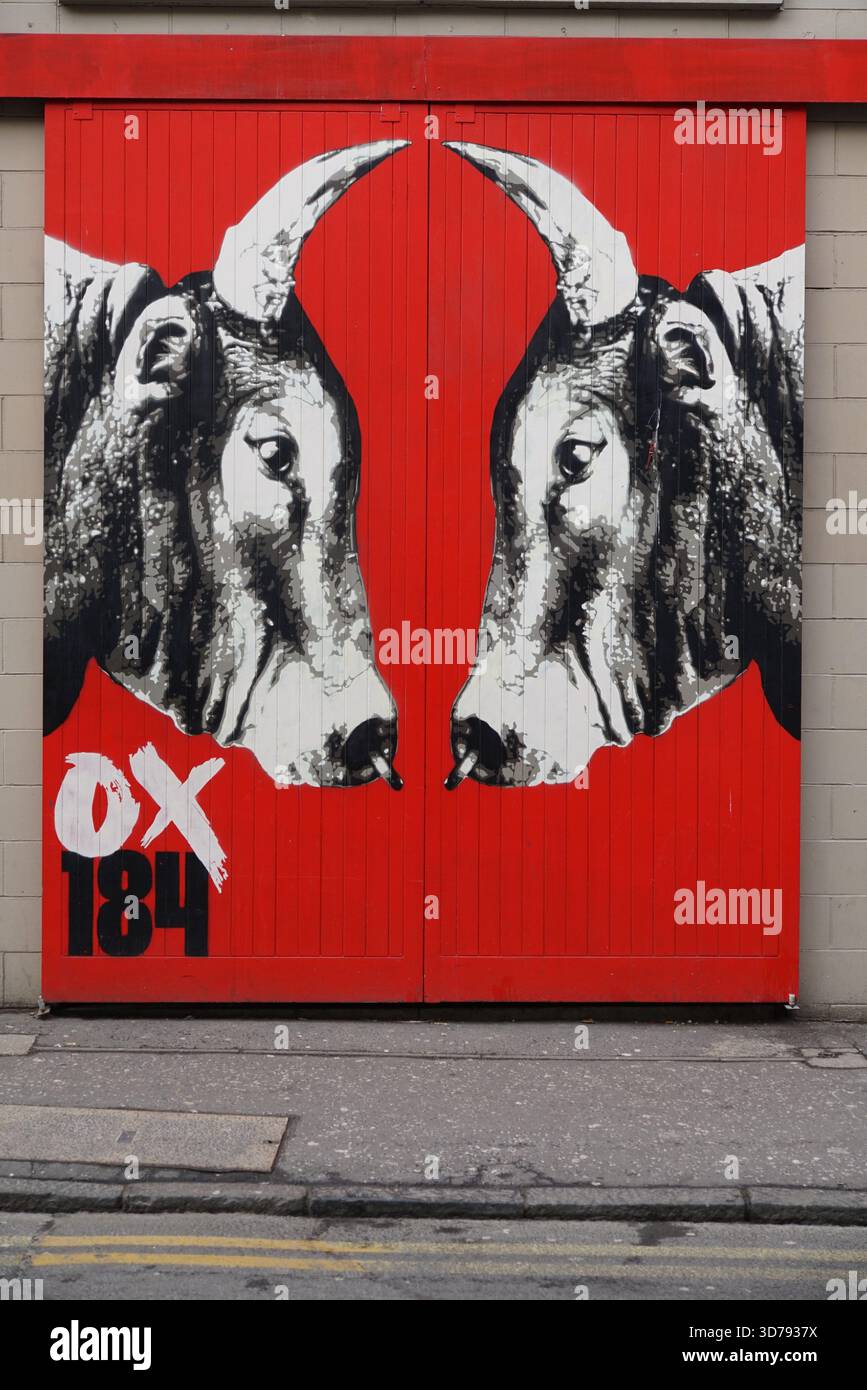 Street Art Wandgemälde von zwei gegenüberliegenden Stieren in Schwarz-weiß an einer kräftigen roten Tür in Edinburgh. Edinburgh, Schottland Stockfoto
