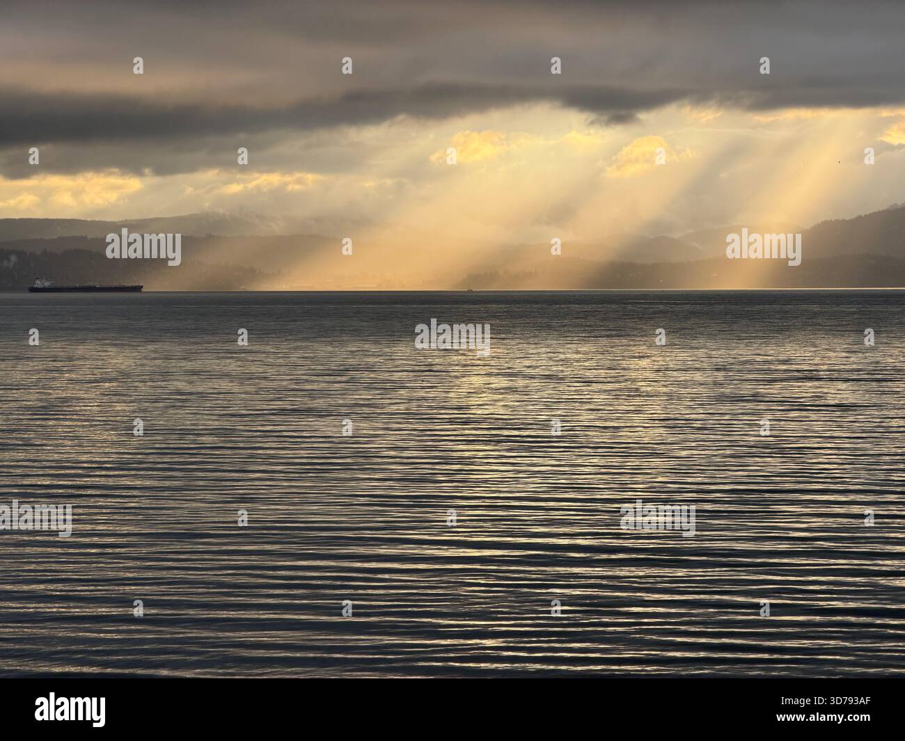 Pazifik Nordwesten 2025 Stockfoto