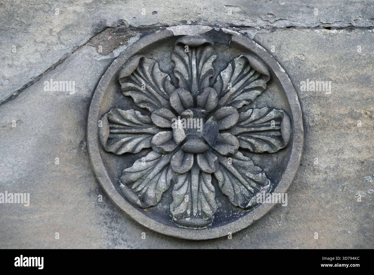 Dekoratives Blumenmotiv aus geschnitztem Stein an einer alten Gebäudefassade in Edinburgh.Edinburgh, Schottland Stockfoto