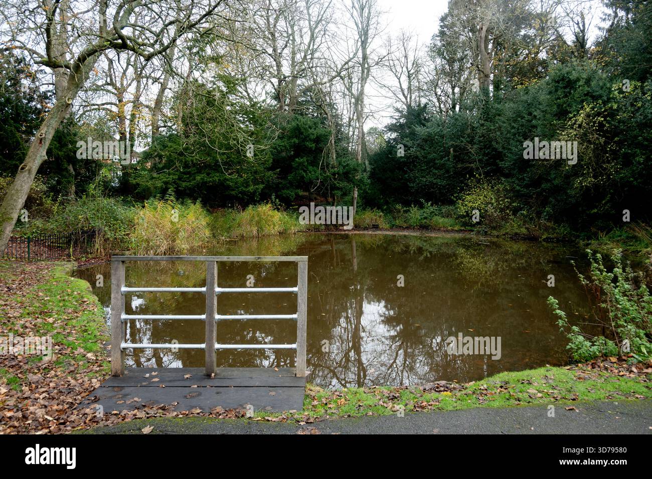Jobs Close Local Nature Reserve, Knowle, West Midlands, England, Großbritannien Stockfoto