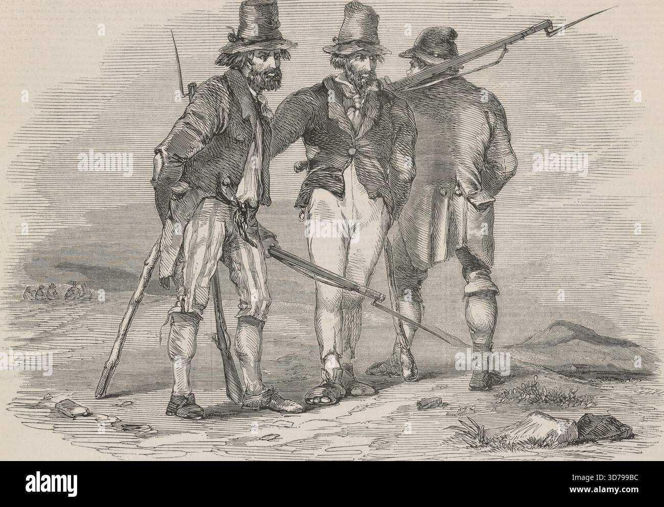 Bewaffnete irische Bauern warten auf die Annäherung eines Mahlgutwagens, der unter militärischer Eskorte zu einer Hilfsstation in Clonmel fährt. Das Bild ist ein Holzstich aus Band 10, nein 242, S. 281, veröffentlicht am 30. Oktober 1847. Die Szene zeigt Bauern, Wagen und Wagen, Kavallerie und Gewehre Stockfoto