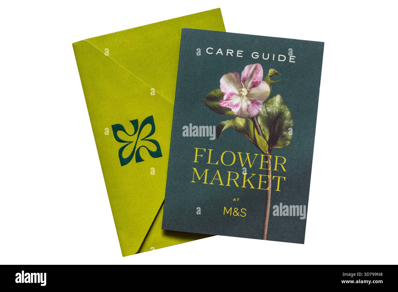 Care Guide Flower Market bei M&S mit Umschlag isoliert auf weißem Hintergrund - Informationen zur Pflege von Blumen von M&S Stockfoto