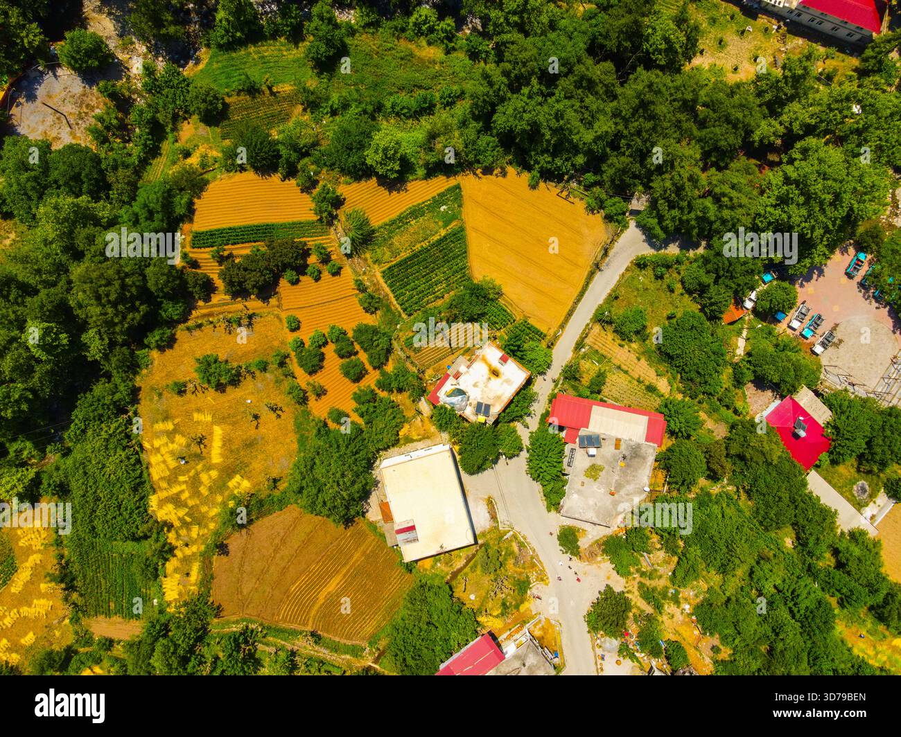 Blick von oben auf Häuser und kleine Gebäude, umgeben von landwirtschaftlichen Grundstücken und dichten grünen Wäldern in einem ländlichen Berggebiet Stockfoto