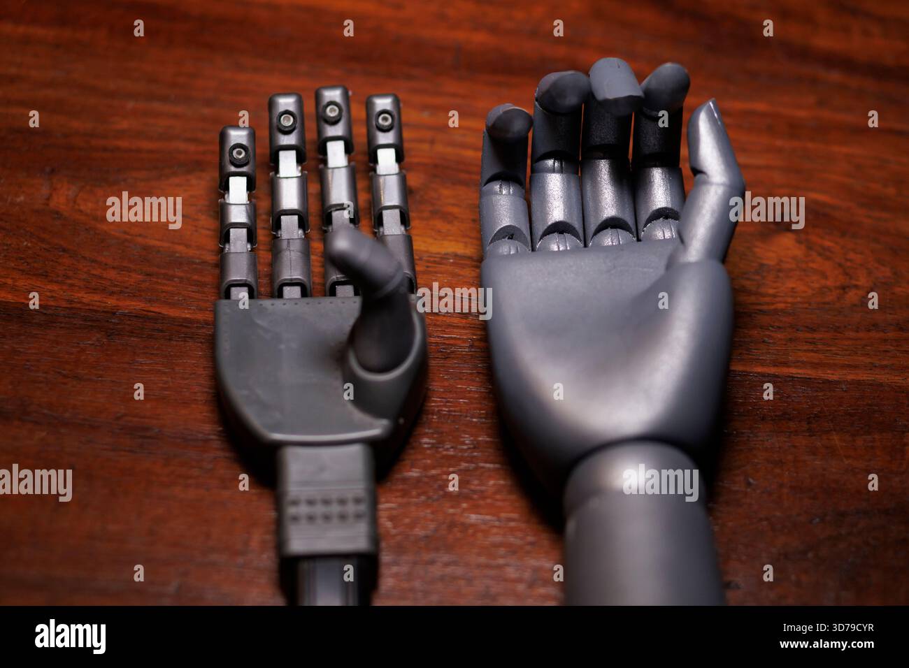 Zwei verschiedene Roboterhände werden auf dem Tisch angezeigt Stockfoto