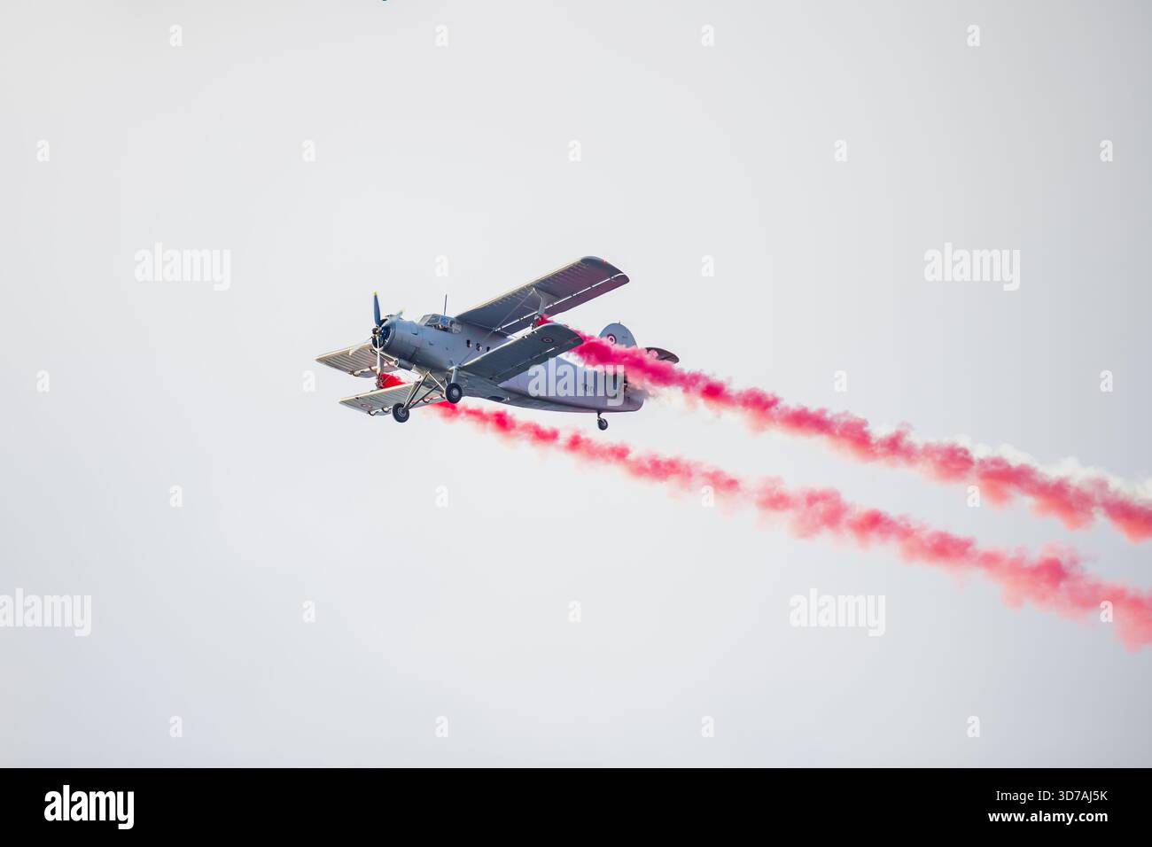 Leichte Propellerflugzeuge geben leuchtende rote Rauchspuren hinter ihren Flügeln ab, während sie durch den hellen Himmel fliegen, mit sichtbaren Fahrwerk- und Flügeldetails Stockfoto