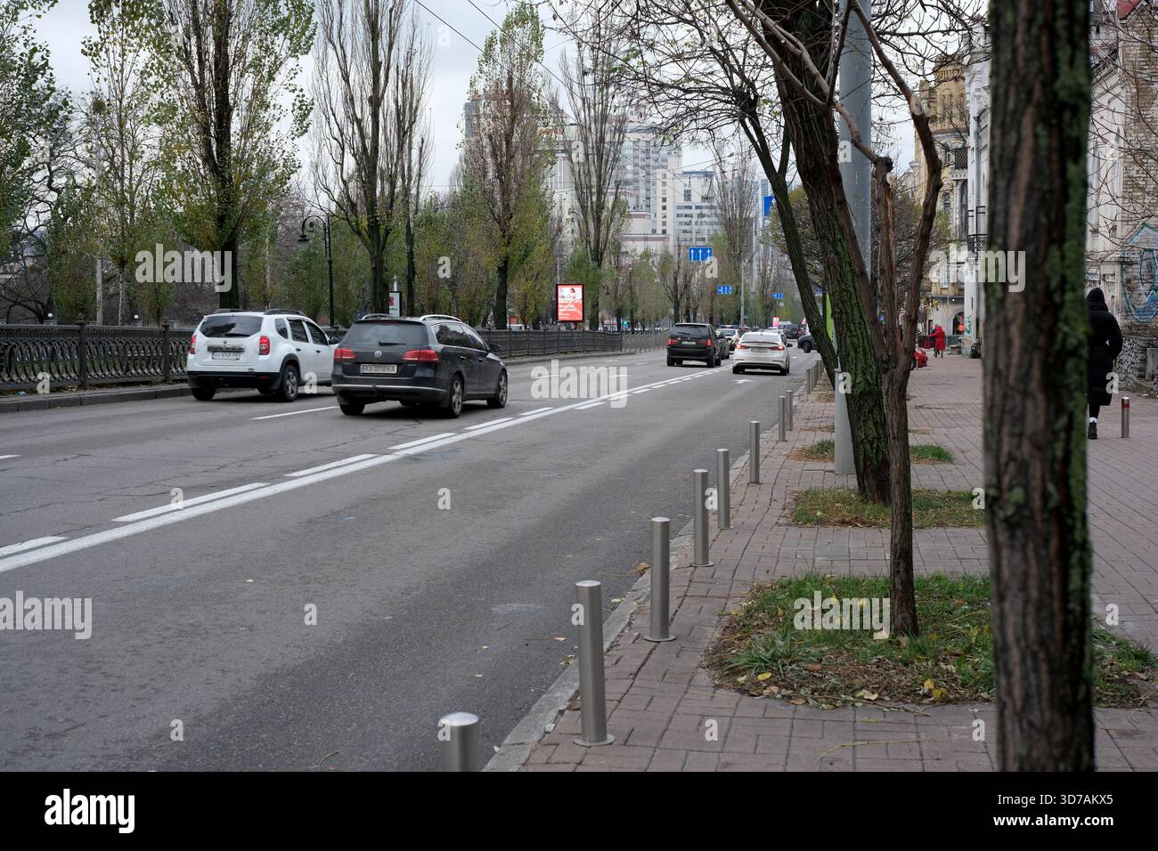 Autos fahren entlang einer ruhigen Stadtstraße, die von Bäumen und einer sanften Brise gesäumt ist. 24. November 2025, Kiew, Ukraine, Schewtschenko Boulevard Stockfoto