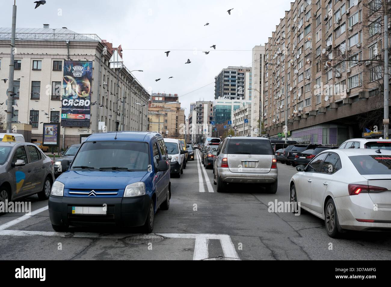 Autos säumen die geschäftige Straße, während Vögel anmutig im grauen Himmel fliegen. 24. November 2025 Kiew, Ukraine, Galitska-Platz. Stockfoto