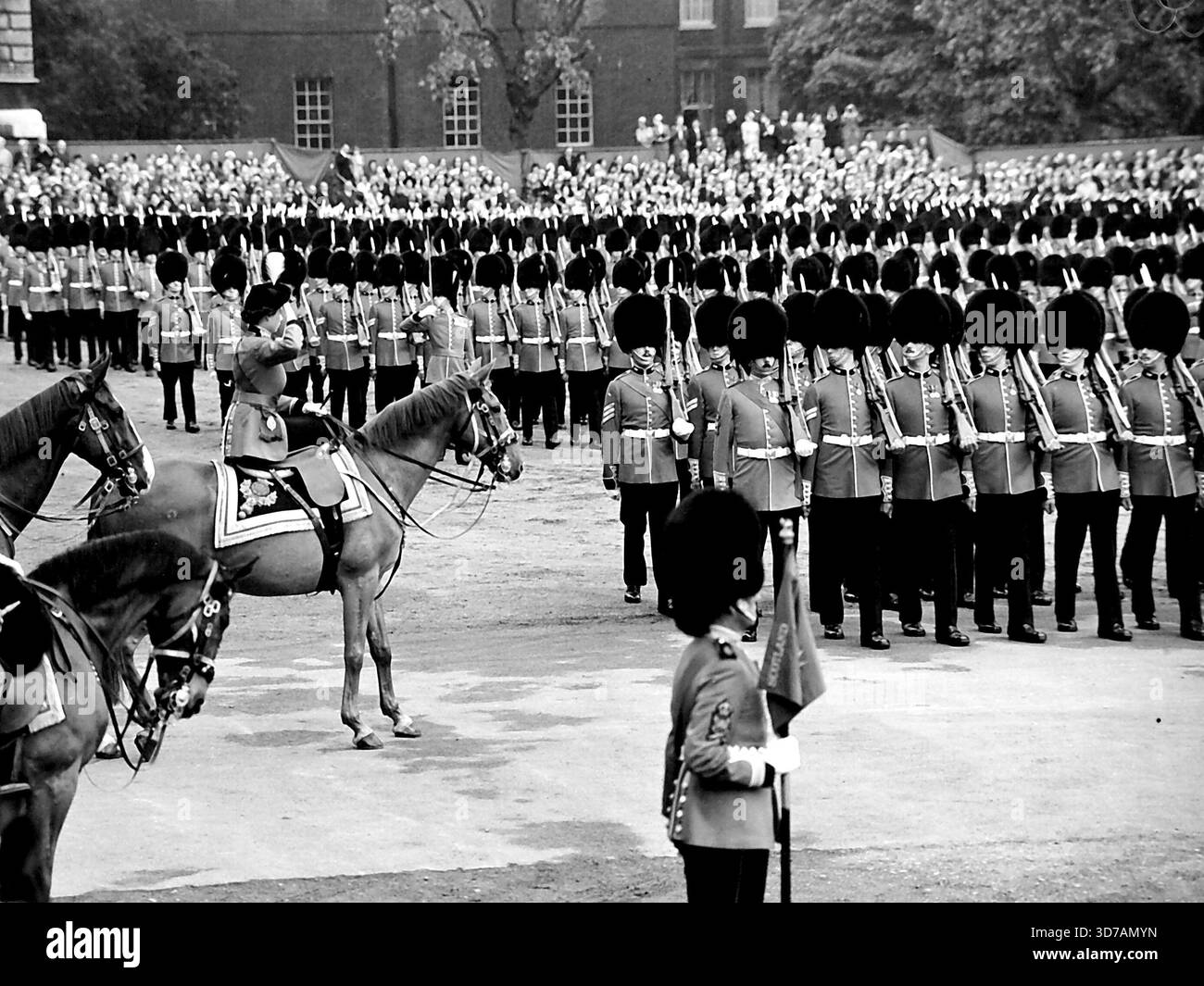 Königin bei der Parade der Pferdewächter bei der Zeremonie der „Trooping the Colour“. Die Königin ritt heute vom Buchingham Palast, um den Gruß bei der Parade der Farbstreitzeremonie auf der Horse Guards zu feiern. Rekordmassen säumten den Weg, um die Königin vorbeiziehen zu sehen, und seit den frühen Morgenstunden hatten die Menschen auf die Parade der Pferdewache gewartet, um die Zeremonie zu sehen. Die Königin ritt auf dem Polizeipferd Winston einen Seitensattel und trug ihre speziell entworfene Garde-Uniform - eine scharlachrote Tunika, einen dunkelblauen Reitrock und einen Tricorne-Hut mit dem goldenen Abzeichen und der weißen Wolke der Grenadiere. Hinter dem Qu Stockfoto