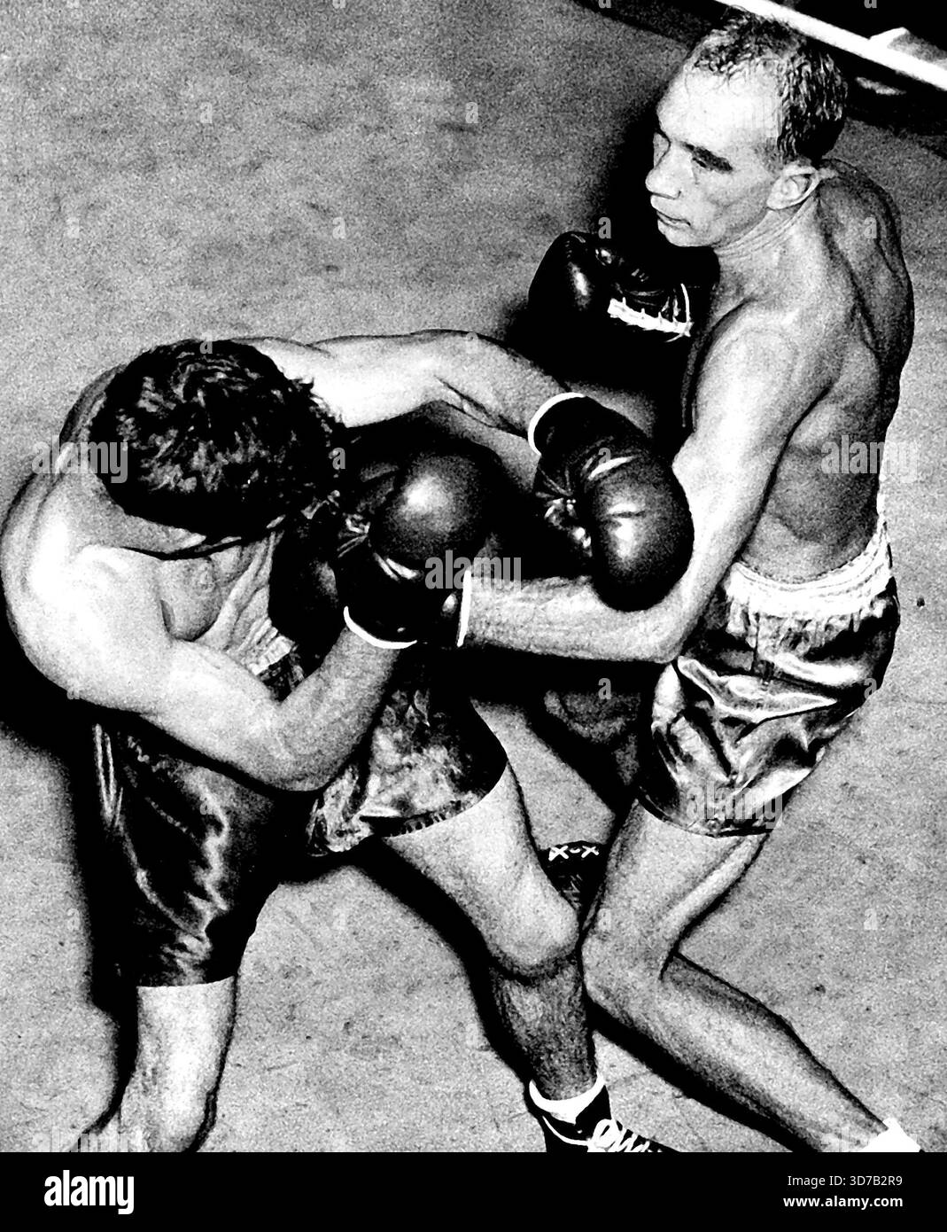 Len Dittmar will Don Johnson während des Stadionkampfes bestrafen. Januar 1952. Stockfoto