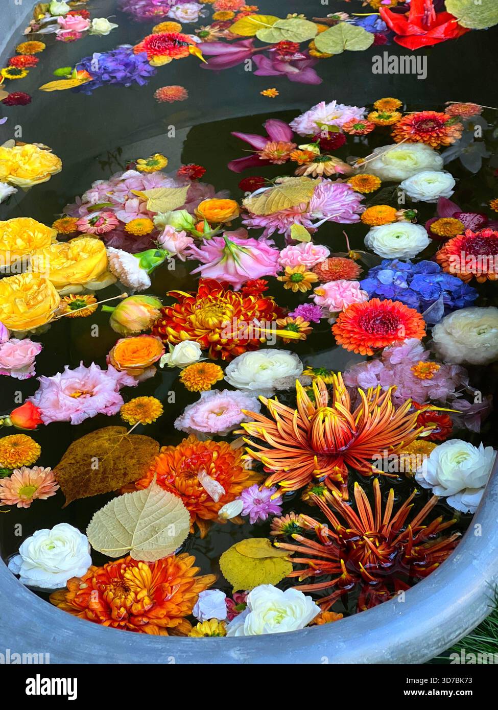 Schöne Blumen und Blätter im Bad Stockfoto