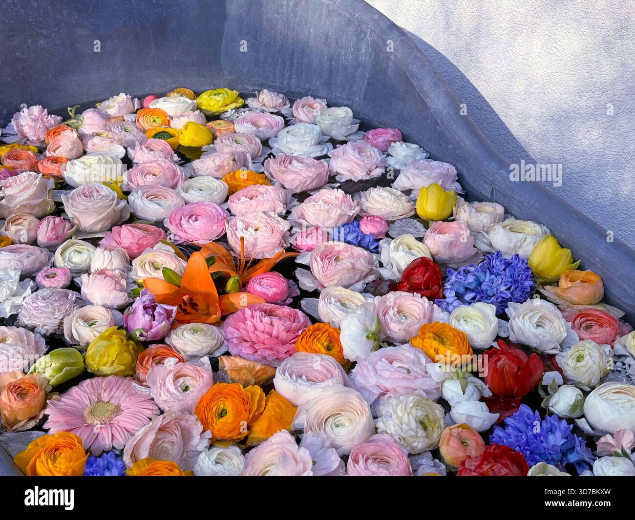 Schöne Blumen im Bad für Romantik Stockfoto