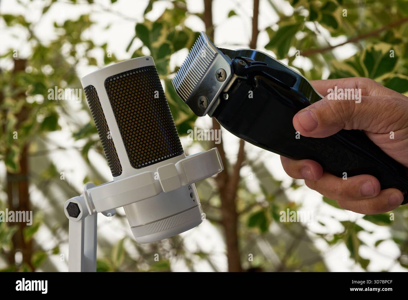 Hände halten schwarze elektrische Haarschneider in der Nähe eines weißen Mikrofons. Aufzeichnung von Summen und vibrierenden Geräuschen für ASMR-Rollenspiele mit Haarschnitt. Stockfoto