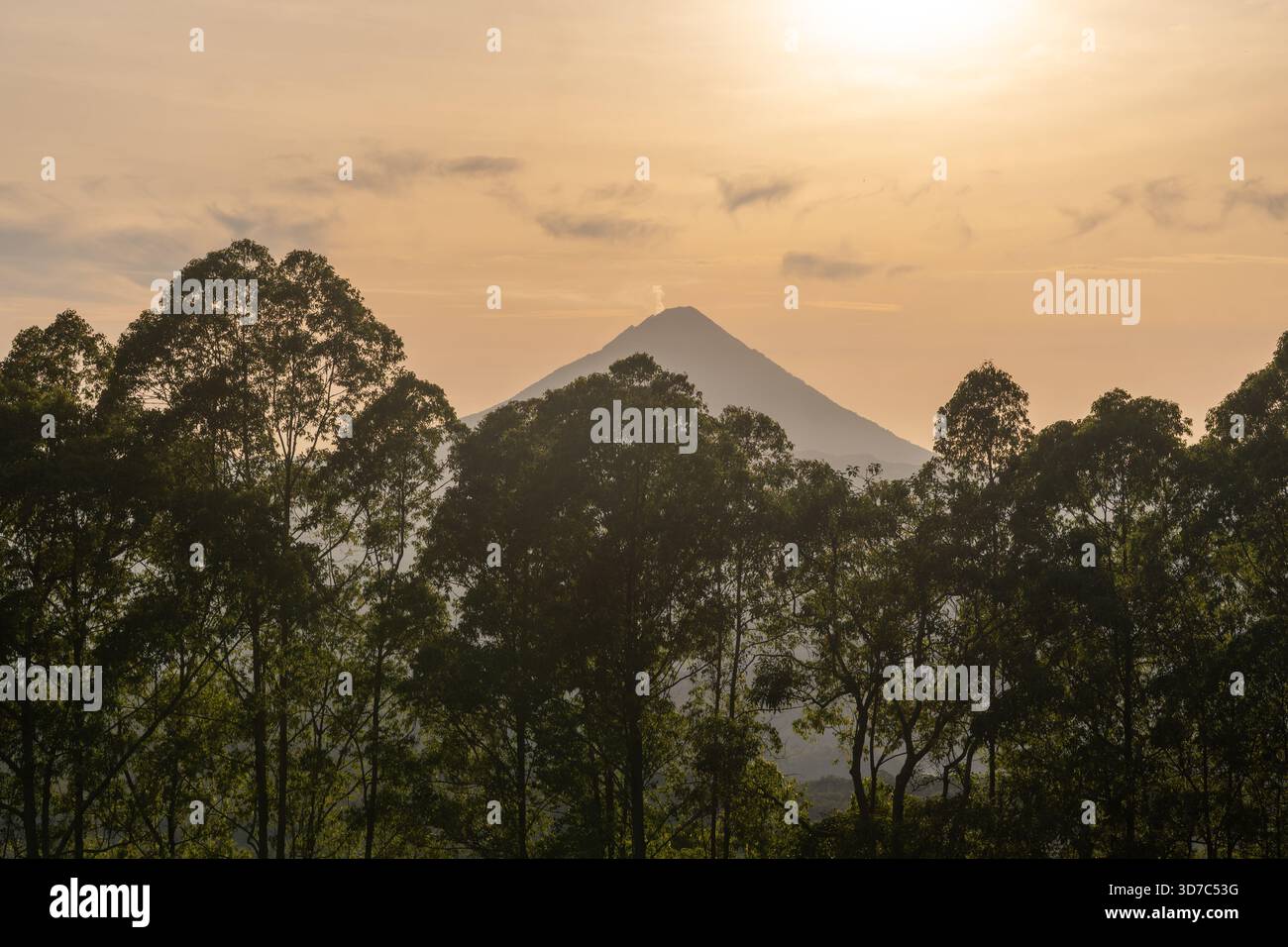 Blick auf einen markanten vulkanischen Gipfel, eingerahmt von dunkelgrünen Baumkronen, mit Schichten nebeliger Hügel und warmem, trübem Himmel bei Sonnenuntergang oder Sonnenaufgang. Stockfoto