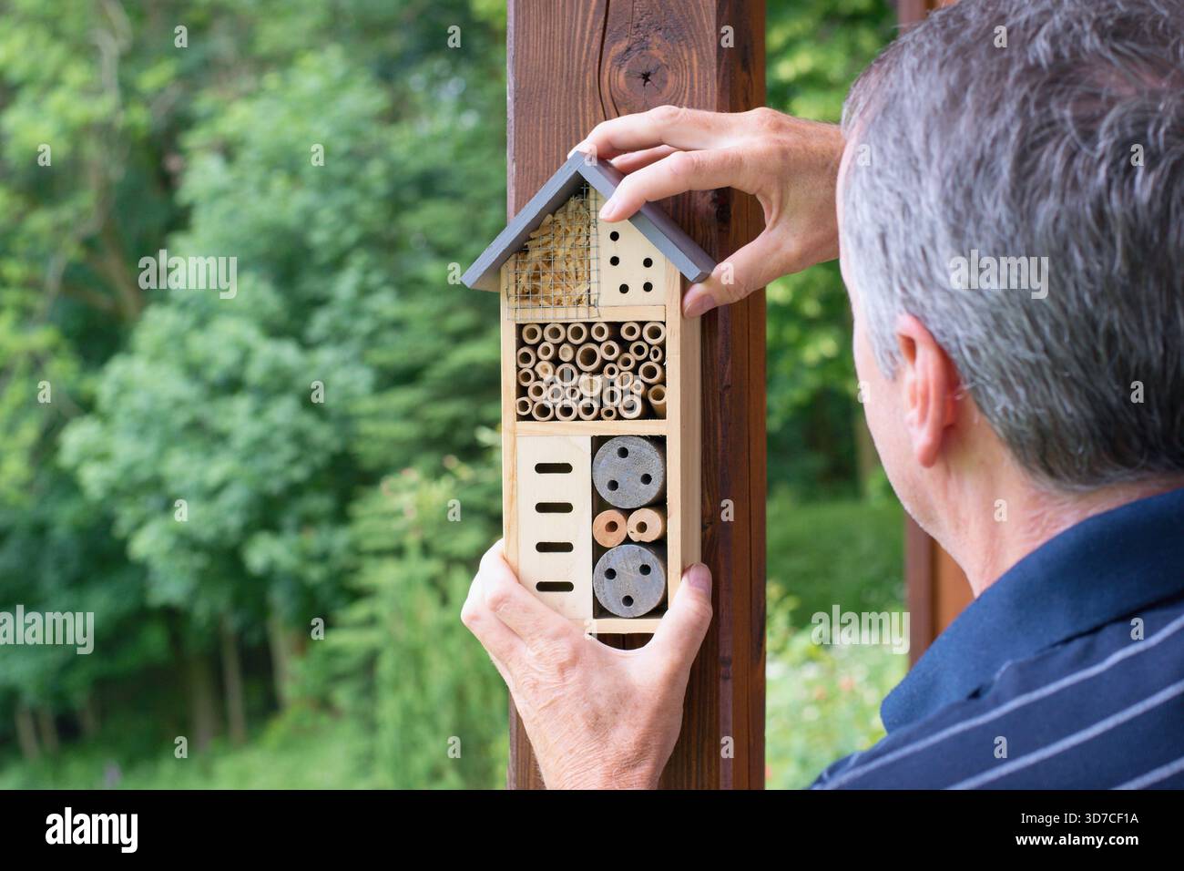 Mann, der ein Insektenhotel installiert. Umweltschutz - Insektenhaus. Stockfoto