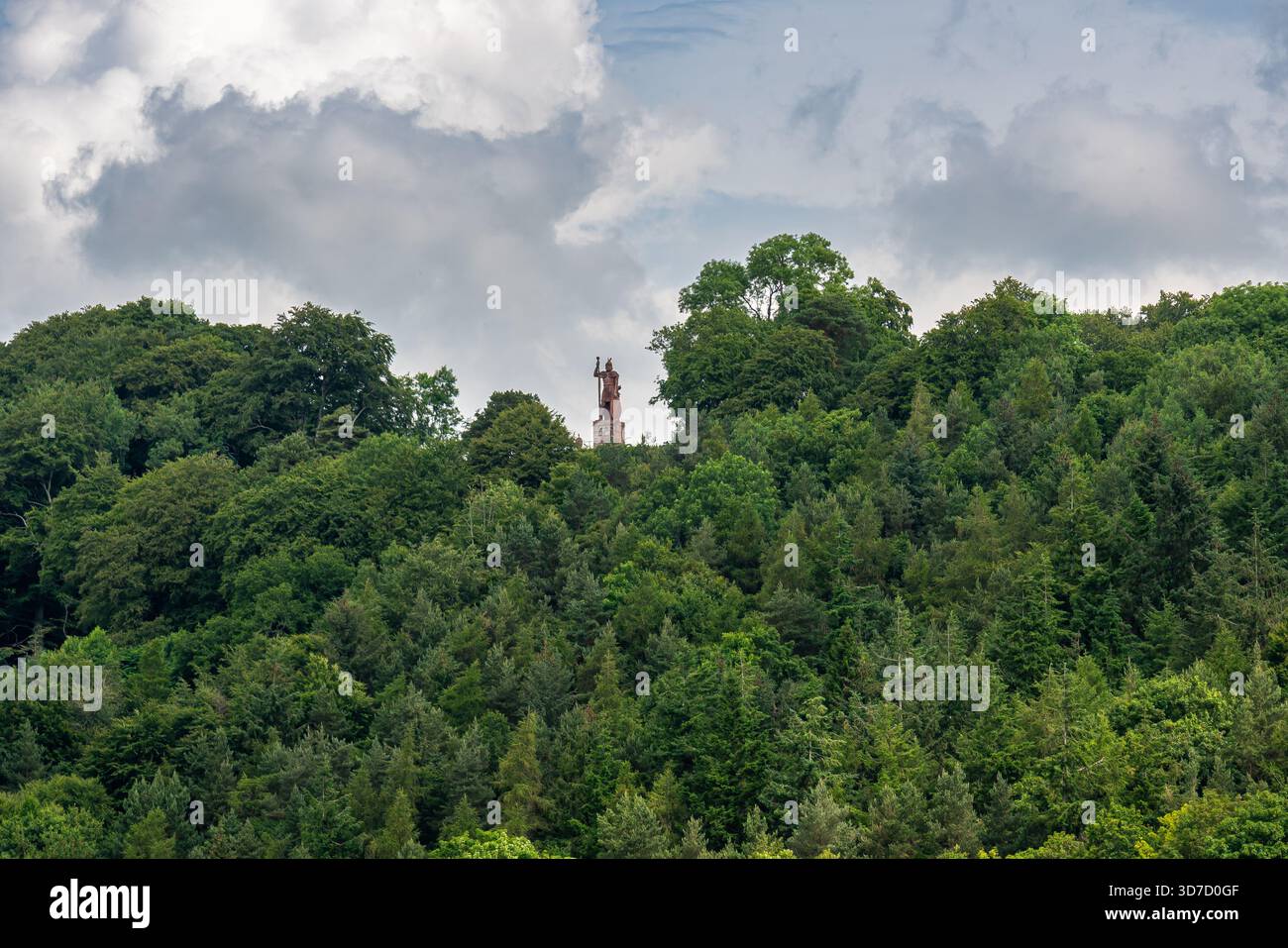 Statue von William Wallace, die sich über dichten Wäldern erhebt Stockfoto