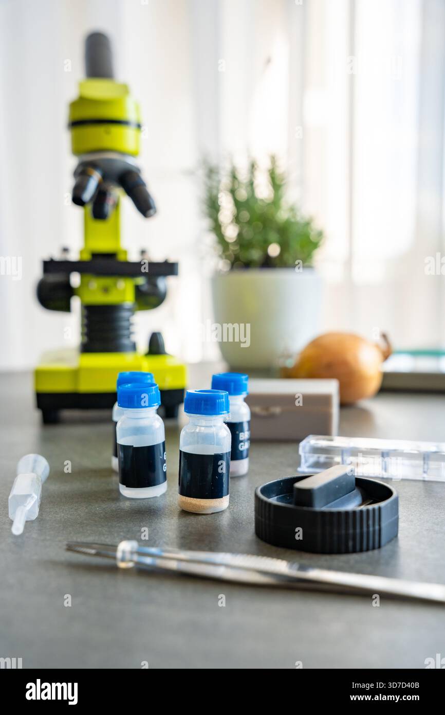 Mikroskop- und Wissenschaftskit mit Objektträgern, Pinzetten und vorbereiteten chemischen Proben auf einem Tisch. Lehrmittel für Kinderexperimente in der Biologie Stockfoto
