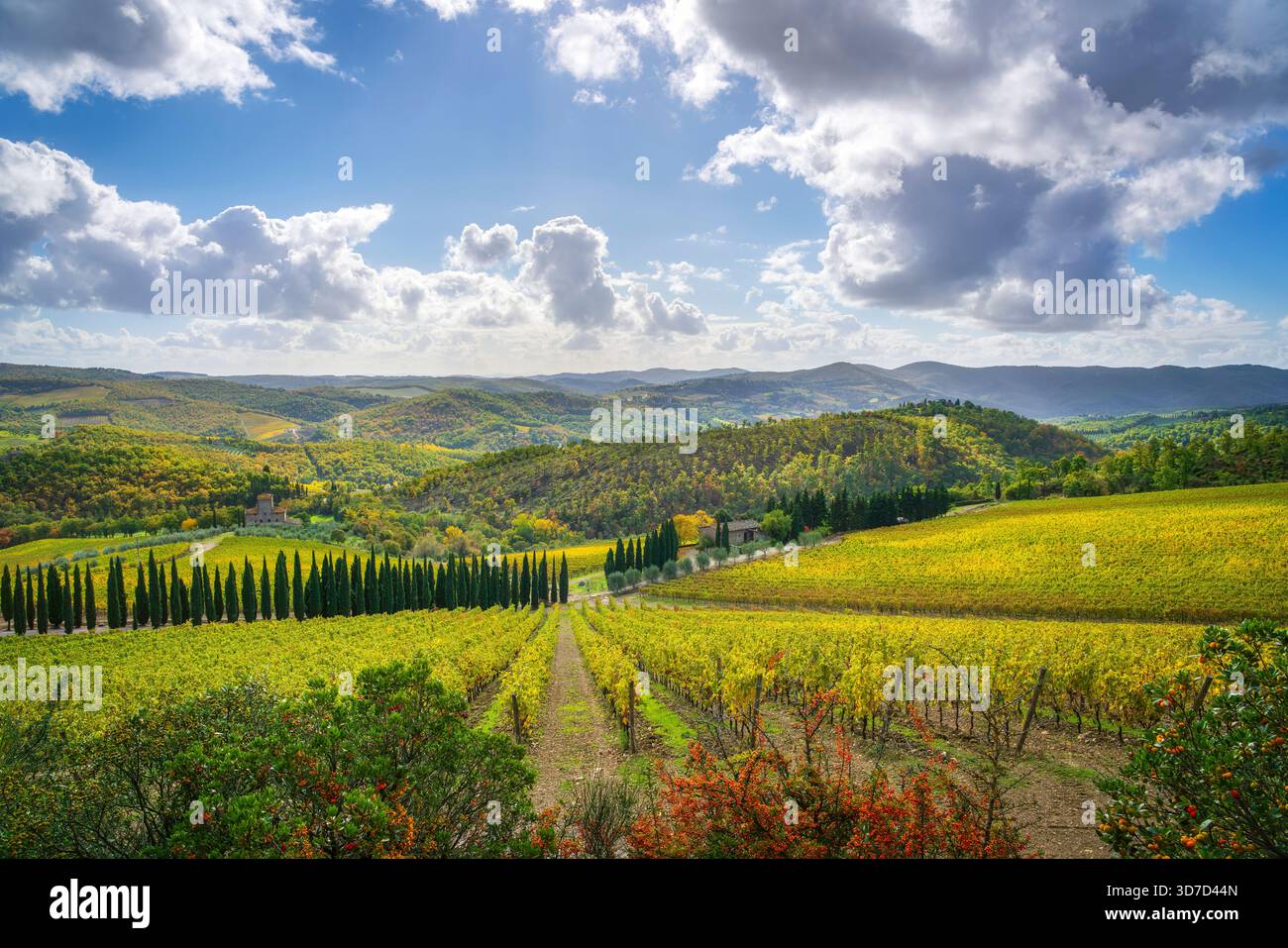 Panoramablick auf die sanften Hügel des Chianti, Radda in Chianti, Toskana, Italien. Üppige Weinberge in goldgrünem Herbstlaub erstrecken sich acr Stockfoto