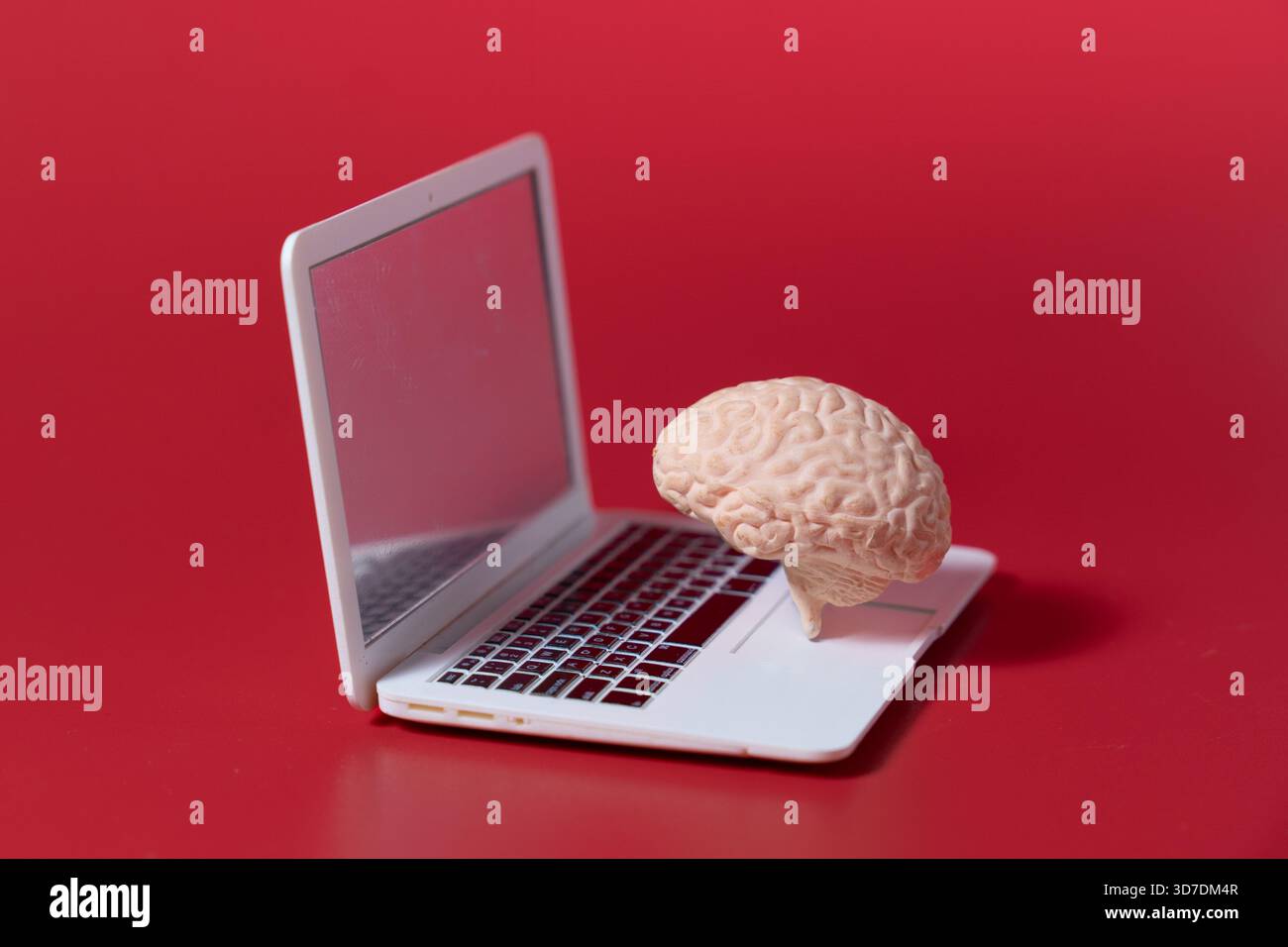 Ein menschliches Gehirn auf einer Laptop-Tastatur vor rotem Hintergrund. Künstliche Intelligenz, digitales Lernen, maschinelles Lernen, digitales Denken Stockfoto