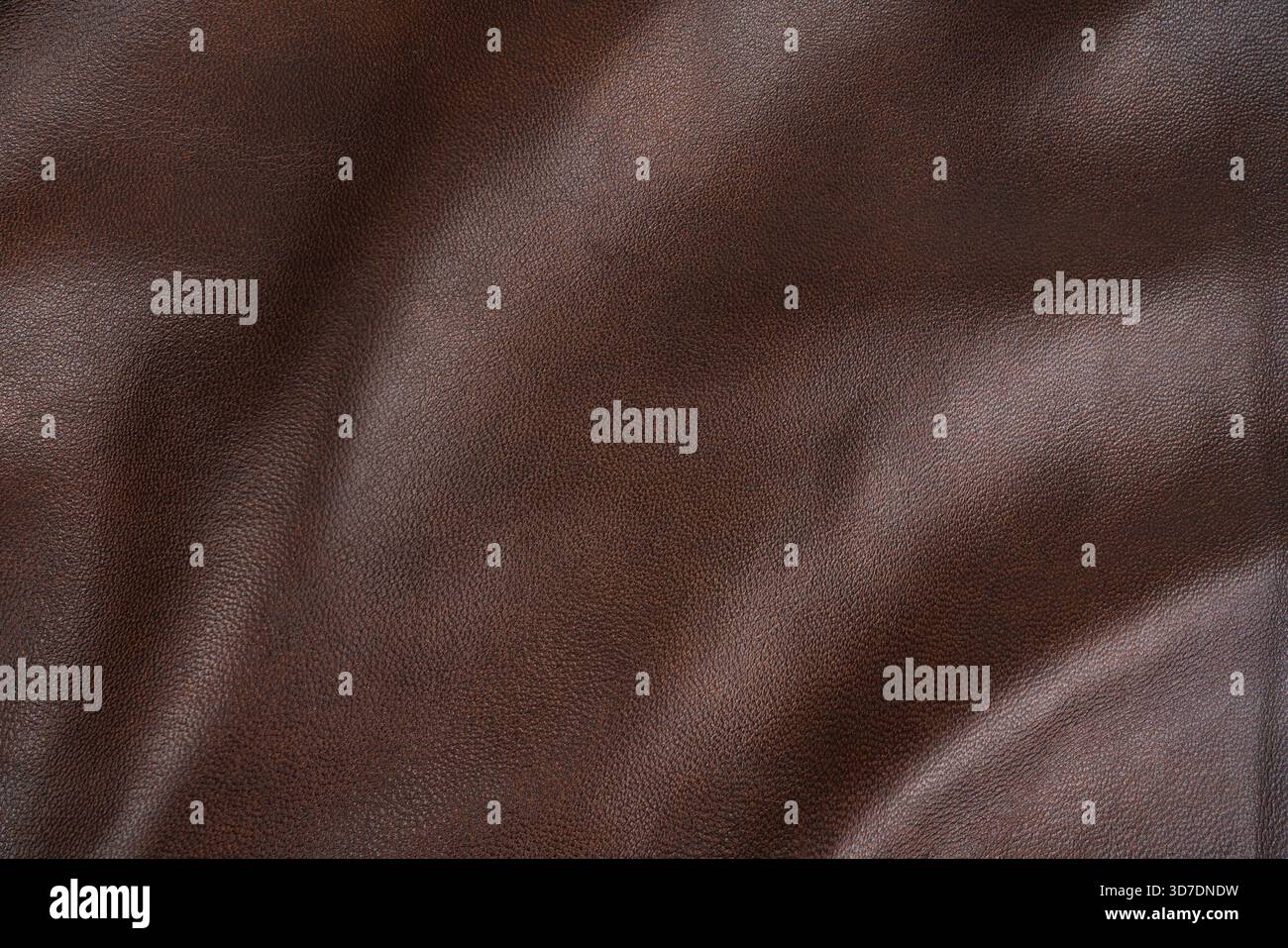 Ledergürtel auf weißem Hintergrund. Hochwertige Fotos Stockfoto