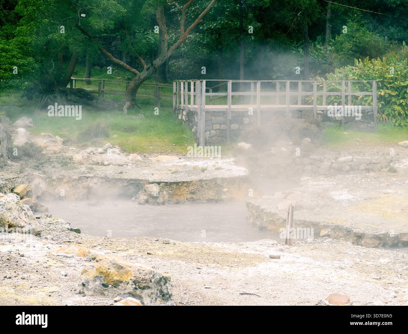 Dampfende Fumarolen und geothermische Quellen in Furnas, São Miguel Island, Azoren. Natürlicher vulkanischer Aktivitätsort mit Nebel, der aus heißem Boden in der Nähe von A aufsteigt Stockfoto