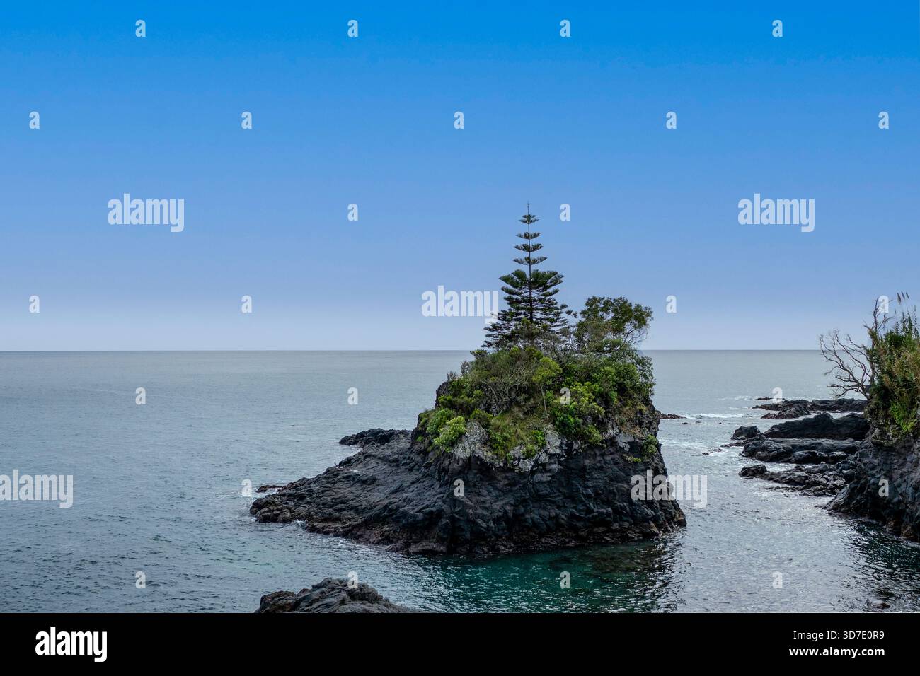 Einsame Küstengesteinsformation mit Bäumen und Vegetation in der Nähe von Miradouro da Caloura, Insel São Miguel, Azoren. Friedliche Atlantikszene, ideal für Reisen A Stockfoto