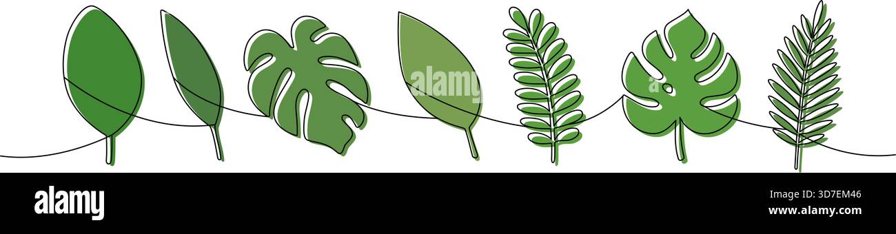 Kontinuierliche Linienkunst von Monstera und Palmblättern. Minimalistische botanische Zeichnung mit Farbe für modernes Design Stock Vektor