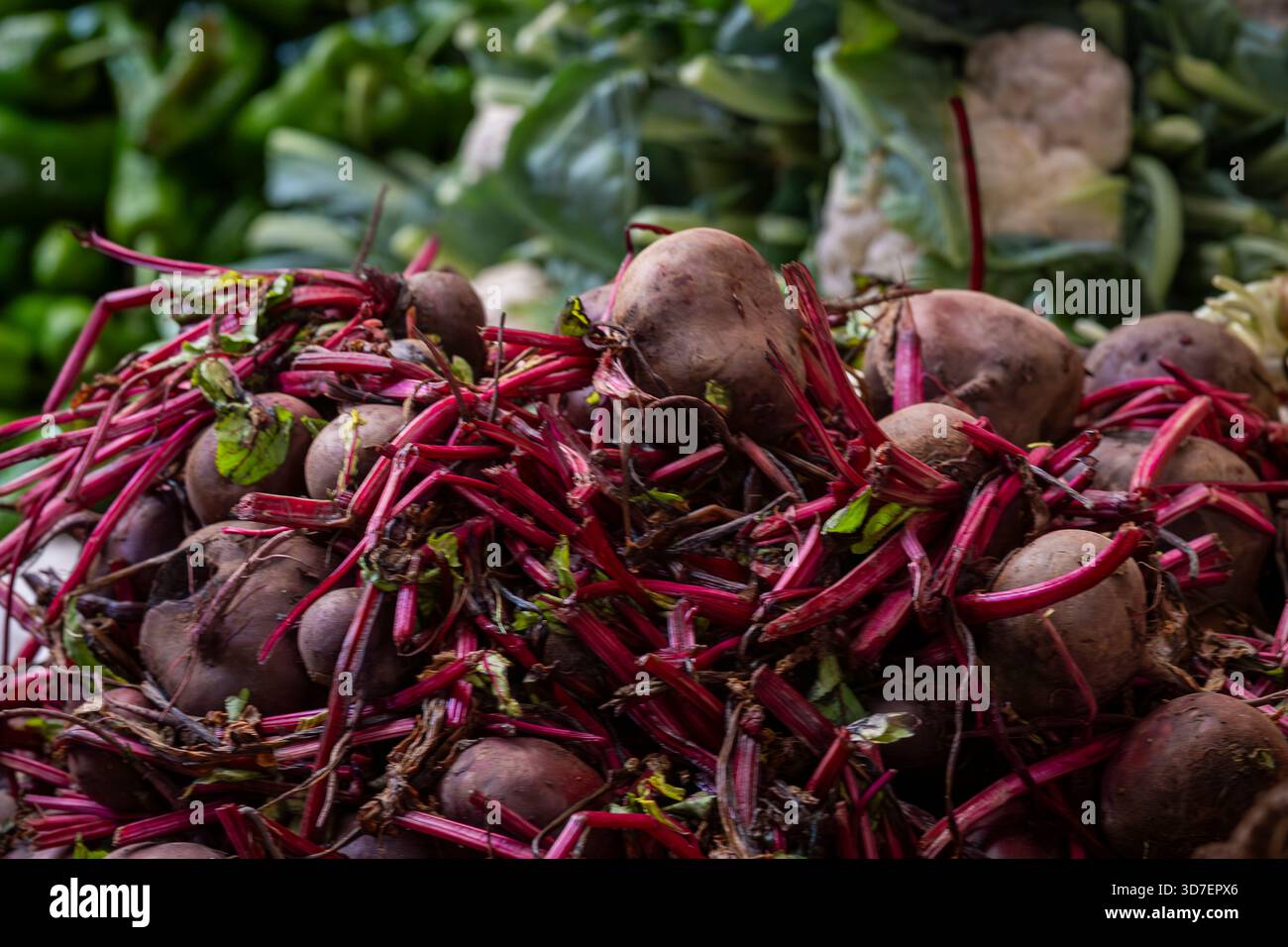 Frische Rote Bete mit leuchtend roten Stängeln auf einem lokalen Markt. Haufen frisch geernteter Rüben mit bunten Stängeln auf einem Gemüsemarkt. Stockfoto