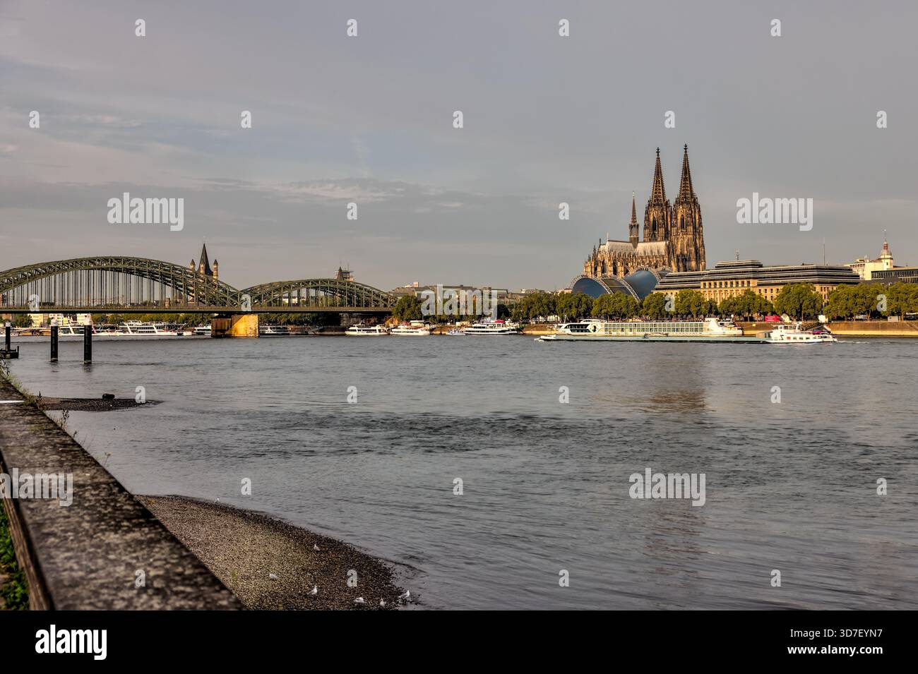 Breiter Blick auf den Rhein in Richtung Kölner Dom und Skyline der Stadt unter weichen Morgenwolken. Stockfoto
