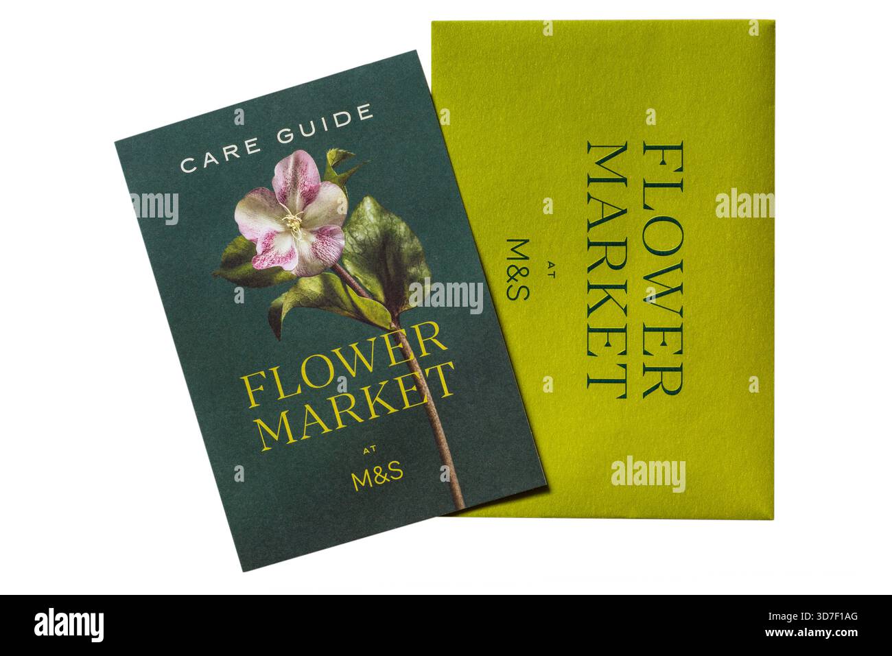 Care Guide Flower Market bei M&S mit Umschlag isoliert auf weißem Hintergrund - Informationen zur Pflege von Blumen von M&S Stockfoto